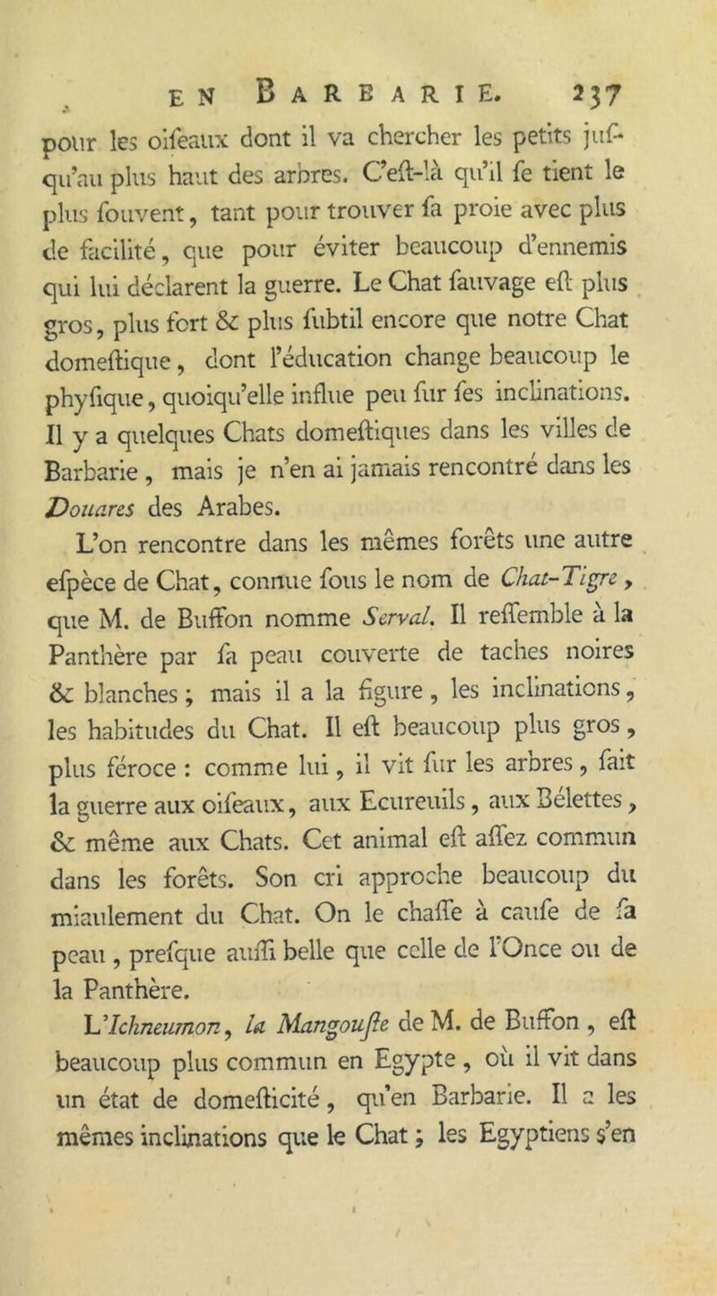 pour les oifeaux dont il va chercher les petits juf- qu’au plus haut des arbres. C’eft-là qu’il fe tient le plus fouvent, tant pour trouver fa proie avec plus de facilité, que pour éviter beaucoup d’ennemis qui lui déclarent la guerre. Le Chat fauvage eft plus gros, plus fort & plus fubtil encore que notre Chat domeftique, dont l’éducation change beaucoup le phyfique, quoiqu’elle influe peu fur fes inclinations. Il y a quelques Chats domeftiques dans les villes de Barbarie , mais je n’en ai jamais rencontré dans les Vonam des Arabes. L’on rencontre dans les mêmes forêts une autre efpèce de Chat, connue fous le nom de Chat-Tigre , que M. de Buffon nomme Serval. Il reffemble à la Panthère par fa peau couverte de taches noires & blanches ; mais il a la figure , les inclinations, les habitudes du Chat. Il eft beaucoup plus gros, plus féroce : comme lui, il vit fur les arbres , fait la guerre aux oifeaux, aux Ecureuils, aux Bélettes, & même aux Chats. Cet animal eft affez commun dans les forêts. Son cri approche beaucoup du miaulement du Chat. On le chafte à caufe de fa peau , prefque aufti belle que celle de l'Once ou de la Panthère. LTchneumon, la Mangoujle de M. de Buffon , eft beaucoup plus commun en Egypte , où il vit dans un état de domefticité, qu’en Barbarie. Il a les mêmes inclinations que le Chat ; les Egyptiens s’en