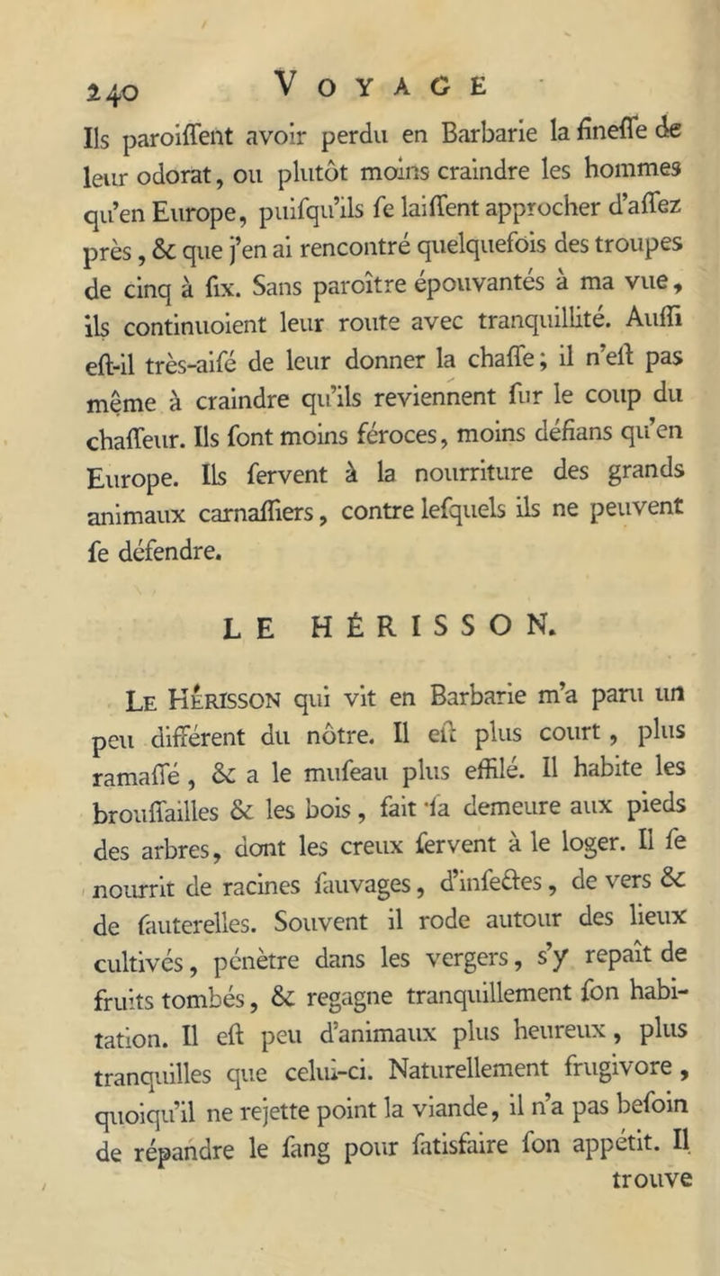 Ils parodient avoir perdu en Barbarie la Enefle de leur odorat, ou plutôt moins craindre les hommes quen Europe, puifqu’ils fe laiflent approcher d’affez près, & que j’en ai rencontré quelquefois des troupes de cinq à fix. Sans paroître épouvantés à ma vue, üs continuoient leur route avec tranquillité. Aufli eft-il très-aifé de leur donner la chaffe ; il n’elî pas même à craindre qu’ils reviennent fur le coup du chaffeur. Ils font moins féroces, moins défïans qu’en Europe. Ils fervent à la nourriture des grands animaux carnaffiers, contre lefquels ils ne peuvent fe défendre. LE HÉRISSON. Le Hérisson qui vit en Barbarie m’a paru un peu différent du nôtre. Il eu plus court, plus ramaffé, & a le mufeau plus effilé. 11 habite les brouffailles & les bois, fait -fa demeure aux pieds des arbres, dont les creux fervent à le loger. Il fe nourrit de racines fauvages, d’infe&es, de vers & de fauterelles. Souvent il rode autour des lieux cultivés, pénètre dans les vergers, s’y repaît de fruits tombés, & regagne tranquillement fon habi- tation. Il eft peu d’animaux plus heureux, plus tranquilles que celui-ci. Naturellement frugivore, quoiqu’il ne rejette point la viande, il n’a pas befoin de répandre le fang pour fatisfaire fon appétit. Il trouve