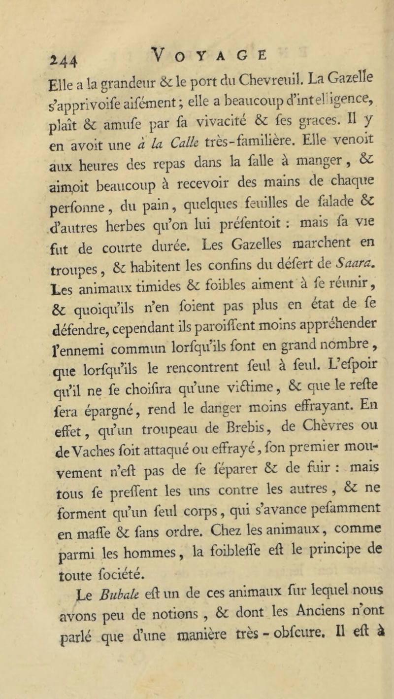 Elle a la grandeur 6c le port du Chevreuil. La Gazelle s’apprivoife aifément ; elle a beaucoup d’intel'igence, plaît 6c amufe par fa vivacité 6c fes grâces. Il y en avoit une à la Calle tres-familieie. Elle venoit aux heures des repas dans la falle a manger, &- aim,oit beaucoup à recevoir des mains de chaque perfonne, du pain, quelques feuilles de falade 6c d’autres herbes qu’on lui préfentoit : mais fa vie fut de courte duree. Les Gazelles marchent en troupes , 6c habitent les confins du défert de Saura. Les animaux timides 6c foibles aiment a fe reunir, & quoiqu’ils n’en foient pas plus en état de fe défendre, cependant ils paroiffent moins appréhender l’ennemi commun lorfqu’ils font en grand nombre , que lorfqu’ils le rencontrent feul à feul. L’efpoir qu’il ne fe choifira qu’une vittime, 6c que le refte fera épargné, rend le danger moins effiayant. En effet, qu’un troupeau de Brebis, de Chèvres ou de Vaches foit attaqué ou effrayé, fon premier mou- vement n’eft pas de fe féparer 6c de fuir : mais tous fe prelfent les uns contre les autres , 6c ne forment qu’un feul corps, qui s avance pcfamment en maffe 6c fans ordre. Chez les animaux, comme parmi les hommes, la foibleife eft le principe de toute fociété. Le Bubale efi: un de ces animaux fur lequel nous avons peu de notions , 6c dont les Anciens n ont parlé que d’une manière très - obfcure. Il eft à