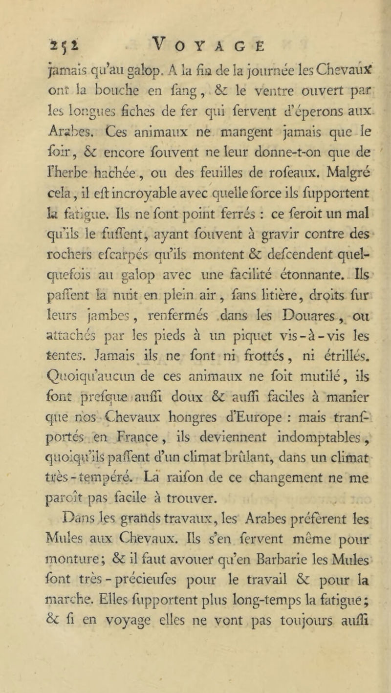 jamais qu’au galop. A la fin de la journée les Chsvautf ont ia bouche en fan g, & le ventre ouvert par les longues fiches de fer qui fervent d’éperons aux Arabes. Ces animaux ne mangent jamais que le loir, & encore fouvent ne leur donne-t-on que de l’herbe hachée, ou des feuilles de rofeaux. Malgré cela, il eft incroyable avec quelle force ils fupportent b fatigue. Ils ne font point ferrés : ce feroit un mal qu'ils le fufient, ayant fouvent à gravir contre des rochers efcarpés qu’ils montent & defcendent quel- quefois au galop avec une facilité étonnante. Us paffent la nuit en plein air, fans litière, droits fur leurs jambes, renfermés dans les Douares, ou attachés par les pieds à un piquet vis-à-vis les tentes. Jamais ils ne font ni frottés, ni étrillés. Quoiqu’aucun de ces animaux ne foit mutilé, ils font prefque aufii doux &I aufii faciles à manier que nos Chevaux hongres d’Europe r mais tranf- portés en France, ils deviennent indomptables, quoiqu’ils paffent d’un climat brûlant, dans un climat très-tempéré. La raifon de ce changement ne me paroît pas facile à trouver. Dans les grands travaux, les Arabes préfèrent les Mules aux Chevaux. Ils s’en fervent meme pour monture ; & il faut avouer qu’en Barbarie les Mules font très - précieufes pour le travail & pour la marche. Elles fupportent plus long-temps la fatigue; & fi en voyage elles ne vont pas toujours aufii