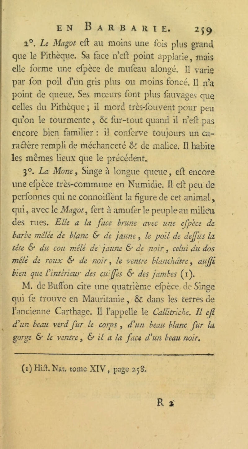 i°. Le Magot eft au moins une fois plus grand que le Pithèque. Sa face n’eft point applatie, mais elle forme une efpèce de mufeau alongé. Il varie par fon poil d’un gris plus ou moins foncé. Il n’a point de queue. Ses mœurs font plus fauvages que celles du Pithèque ; il mord très-fouvent pour peu qu’on le tourmente, & fur-tout quand il n’eft pas encore bien familier : il conferve toujours un ca- raélère rempli de méchanceté de malice. Il habite les mêmes lieux que le précédent. 30. La Mone, Singe à longue queue, eft encore une efpèce très-commune en Numidie. Il eft peu de perfonnes qui ne connoiffent la figure de cet animal, qui, avec le Magot, fert à amufer le peuple au milieu des rues. Elle a la face brune avec une efpèce de barbe mêlée de blanc & de jaune, le poil de deffus la tête & du cou mêlé de jaune & de noir, celui du dos mêlé de roux & de noir, le ventre blanchâtre, aufjl bien que Vintérieur des cu 'JJes & des jambes (i). M. de BuiFon cite une quatrième efpèce de Singe qui fe trouve en Mauritanie, & dans les terres de l’ancienne Carthage. Il l’appelle le Callitriche. Il efl d'un beau verd fur le corps , d'un beau blanc fur la gorge & le ventre , & il a la face d'un beau noir. (i)Hifi. Nat. tome XIV, page 25S.