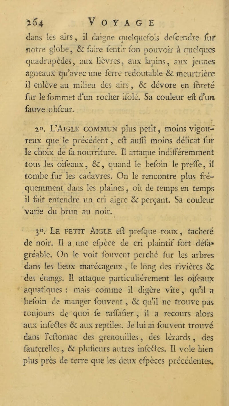 dans les airs, il daigne quelquefois descendre fur notre globe, 6c faire fentlr fon pouvoir à quelques quadrupèdes, aux lièvres, aux lapins, aux jeunes agneaux qu’avec une ferre redoutable 6c meurtrière il enlève au milieu des airs, 6c dévore en fnreté fur le fommet d’un rocher ifolé. Sa couleur eft d’un fauve obfciir. 2°. L’Aigle commun plus petit, moins vigou- reux que le précédent, eft aufti moins délicat fur le choix de fa nourriture. Il attaque indifféremment tous les oifeaux, 6c, quand le befoin le prefte, il tombe fur les cadavres. On le rencontre plus fré- quemment dans les plaines, oii de temps en temps il fait entendre un cri aigre 6c perçant. Sa couleur varie du brun au noir. / 3°. Le petit Aigle eft prefqtie roux, tacheté de noir. Il a une efpèce de cri plaintif fort défa* gréabîe. On le voit fou vent peiché fur les arbres dans les lieux marécageux, le long des rivières &c des étangs. Il attaque particuliérement les oifeaux aquatiques : mais comme il digère vite, qu’il a befoin de manger fouvent, 6c qu’il ne trouve pas toujours de quoi fe raffafier , il a recours alors aux infedes 6c aux reptiles. Je lui ai fouvent trouvé dans l’eftomac des grenouilles, des lézards, des fauterelles, 6c plufieurs autres infedes. Il vole bien plus près de terre que les deux efpèces précédentes.