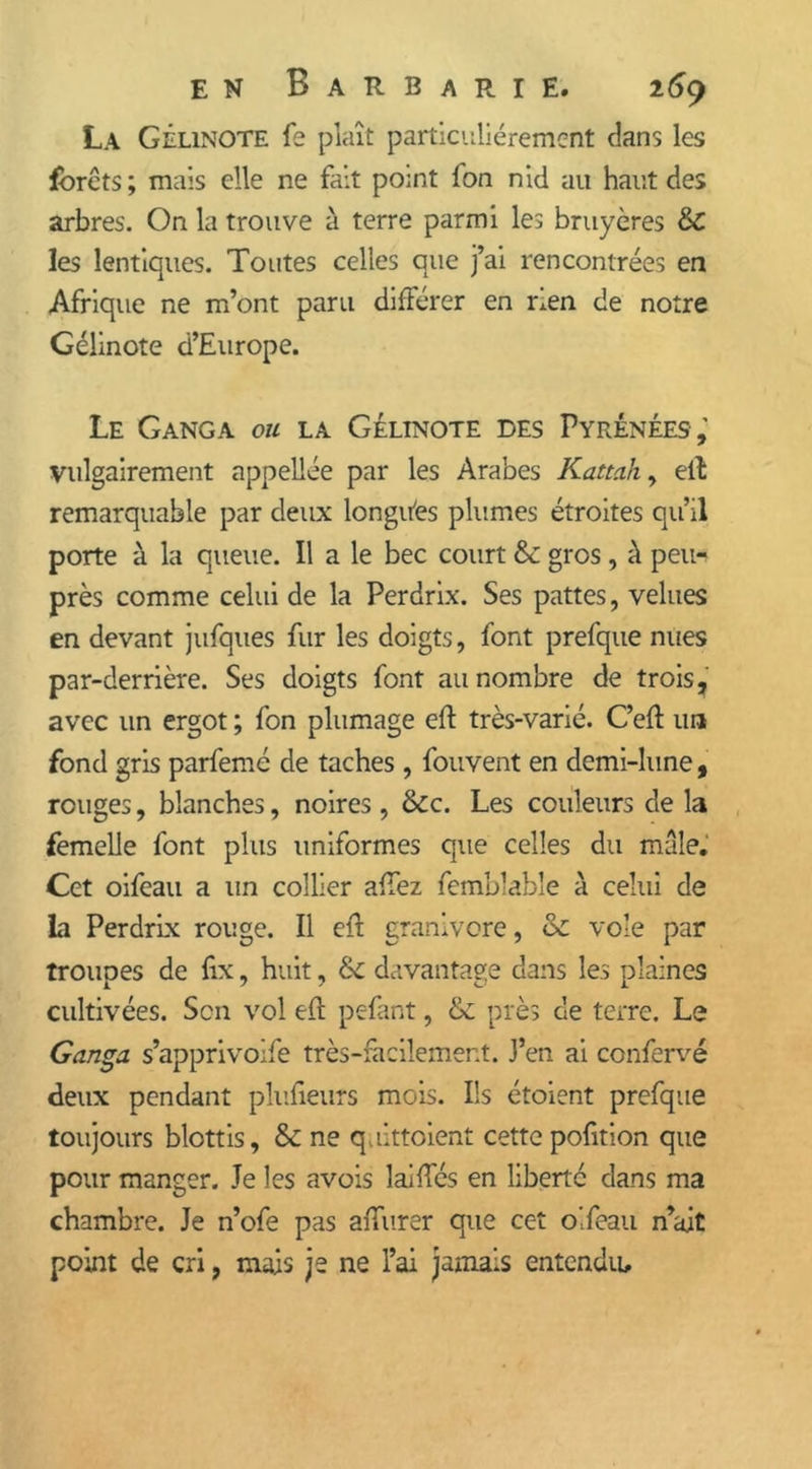 La Gélinote fe plaît particuliérement dans les forets ; mais elle ne fait point fon nid au haut des arbres. On la trouve à terre parmi les bruyères & les lentlques. Toutes celles que j’ai rencontrées en Afrique ne m’ont paru différer en rien de notre Gélinote d’Europe. Le Ganga ou la Gélinote des Pyrénées,' vulgairement appellée par les Arabes Kattah, elt remarquable par deux longu'es plumes étroites qu’il porte à la queue. Il a le bec court & gros , à peu-^ près comme celui de la Perdrix. Ses pattes, velues en devant jufques fur les doigts, font prefque nues par-derrière. Ses doigts font au nombre de trois, avec un ergot ; fon plumage eft très-varié. C’eft un fond gris parfemé de taches , fouvent en demi-lune, rouges, blanches, noires , &c. Les couleurs de la femelle font plus uniformes que celles du male. Cet oifeau a un collier allez femblable à celui de la Perdrix rouge. Il efl granivore, & vole par troupes de fix, huit, &: davantage dans les plaines cultivées. Son vol efl pefant, & près de terre. Le Ganga s’apprivoife très-facilement. J’en ai confervé deux pendant plufieurs mois. Ils étoient prefque toujours blottis, & ne q.ilttoient cette pofition que pour manger. Je les avois ladies en liberté dans ma chambre. Je n’ofe pas aiTurer que cet oifeau n’ait point de cri, mais je ne l’ai jamais entendu.