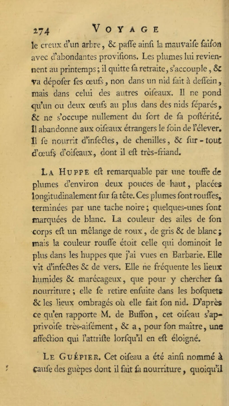 le creux d’un arbre, &: palTe ainfi la mauvaise faifon avec d’abondantes provifions. Les plumes lui revien- nent au printemps; il quitte fa retraite, s’accouple, & Va dépofer fes œufs, non dans un nid fait à deffein, mais dans celui des autres oifeaux. Il ne pond qu’un ou deux œufs au plus dans des nids féparés, &: ne s’occupe nullement du fort de fa poftérité. Il abandonne avix oifeaux étrangers le foin de l’élever. Î1 fe nourrit d’infeéles, de chenilles, & fur-tout d’œufÿ d’oifeaux, dont il eft très-friand. La Huppe eft remarquable par une touffe de plumes d’environ deux pouces de haut, placées longitudinalement fur fa tête. Ces plumes font rouftes, terminées par une tache noire ; quelques-unes font marquées de blanc. La couleur des ailes de fon corps eft un mélange de roux, de gris & de blanc ; mais la couleur roufle étoit celle qui dominoit le plus dans les huppes que j’ai vues en Barbarie. Elle vit d’infeêles & de vers. Elle ne fréquente les lieux humides & marécageux, que pour y chercher fa nourriture ; elle fe retire enfuite dans les bofquets &: les lieux ombragés où elle fait fon nid. D’après ce qu’en rapporte M. de Buffon, cet oifeait s’ap- privoife très-aifément, & a, pour fon maître, une affeélion qui l’attrifte lorfqu’il en eft éloigné. Le Guêpier. Cet oifeau a été ainfi nommé à çaufe des guêpes dont il fait ù nourriture, quoiqu’il