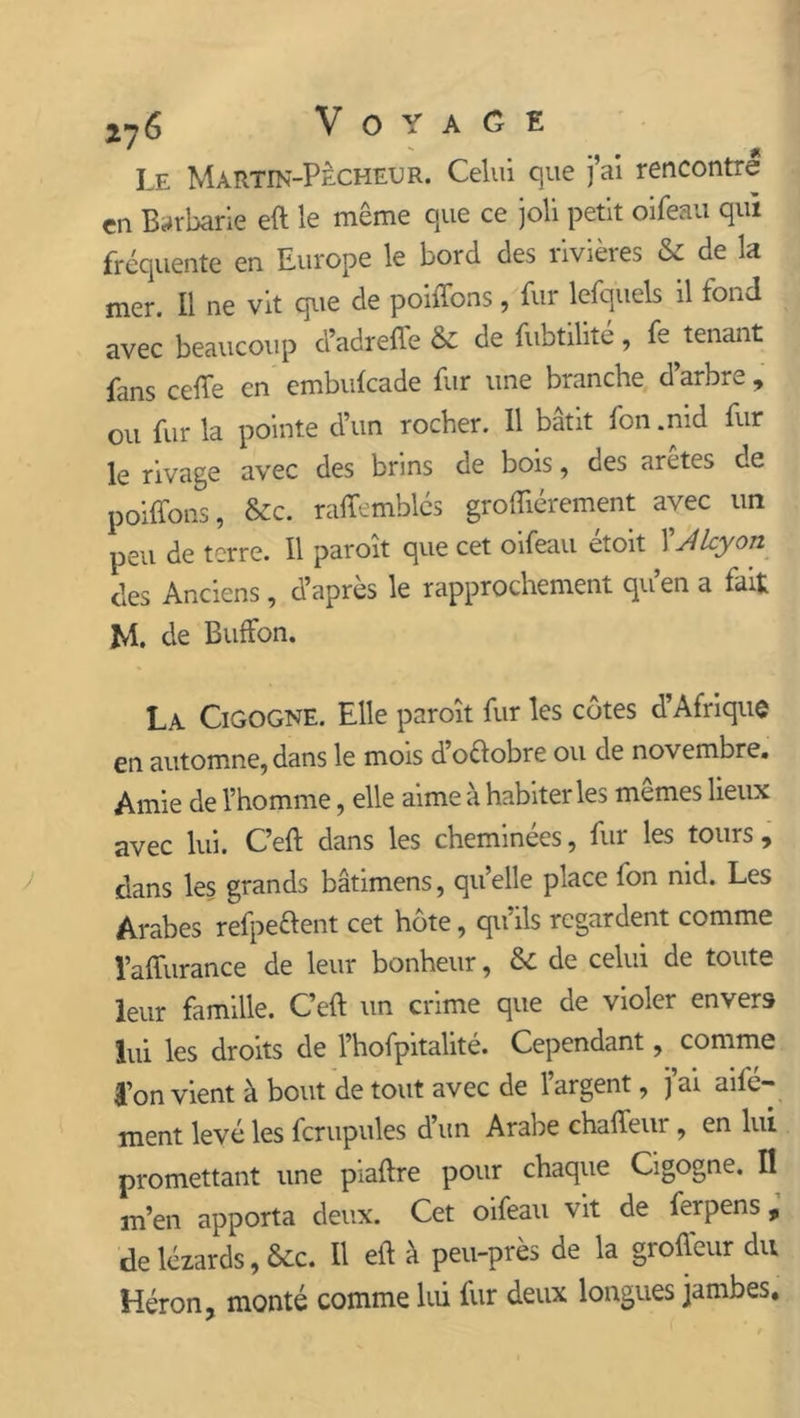 Le Martin-Pêcheur. Celui que j’ai rencontre en Barbarie eft le même que ce joli petit oifeau qui fréquente en Europe le bord des rivières & de la mer. Il ne vit que de poiffons, fur lefquels il fond avec beaucoup d’adreffe & defubtilité, fe^tenant fans celle en embulcade fur une branche d arbre , ou fur la pointe d’un rocher. 11 bâtit fon .nid fur le rivage avec des brins de bois, des arêtes de poiffons, &c. raffemblés groffiérement avec un peu de terre. Il paroît que cet oifeau étoit Alcyon des Anciens, d’après le rapprochement qu’en a fait M. de Buffon. La Cigogne. Elle paroît fur les côtes d’Afrique en automne, dans le mois d octobre ou de novembre. Amie de l’homme, elle aime à habiter les mêmes lieux avec lui. C’eft dans les cheminées, fur les tours , dans les grands bâtimens, qu’elle place fon nid. Les Arabes relpeftent cet hôte, qu’ils regardent comme l’affurance de leur bonheur, & de celui de toute leur famille. C’eft un crime que de violer envers lui les droits de l’hofpitalité. Cependant, comme Convient à bout de tout avec de l’argent, j’ai aile- ment levé les fcrupules d’un Arabe chaffeur , en lui promettant une piaftre pour chaque Cigogne. Il m’en apporta deux. Cet oifeau vit de ferpens 9 de lézards, &c. Il eft à peu-près de la groffeur du Héron, monté comme lui fur deux longues jambes.