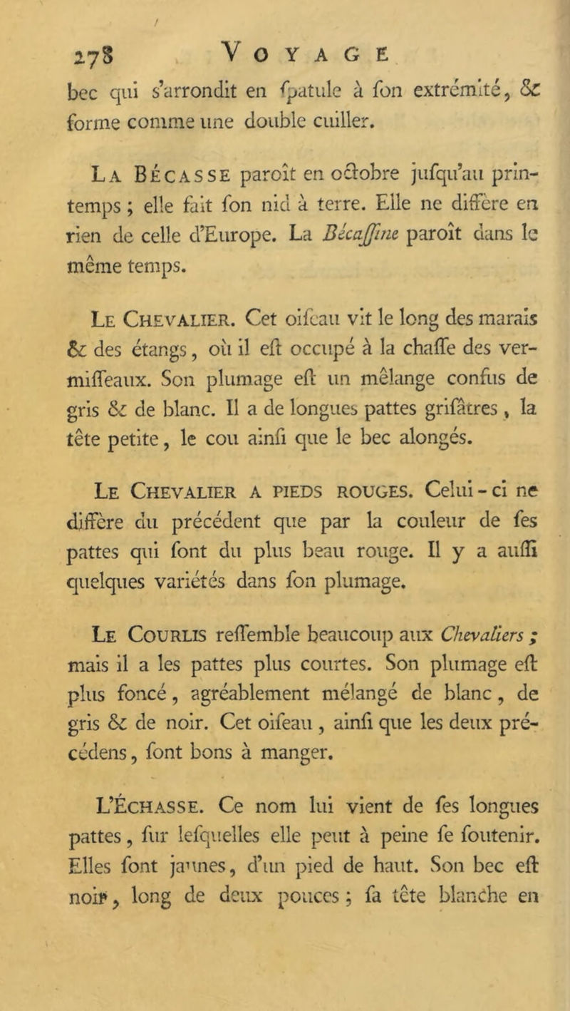 bec qui s’arrondit en fpatule à fon extrémité, &amp; forme comme une double cuiller. La Bécasse paroît en octobre jufqu’au prin- temps ; elle fait fon nid à terre. Elle ne diffère en rien de celle d’Europe. La BécaJJine paroît dans le même temps. Le Chevalier. Cet oifeau vit le long des marais ht des étangs, oii il eft occupé à la chaffe des ver- miffeaux. Son plumage eft un mélange confus de gris St de blanc. Il a de longues pattes grifôtres , la tête petite, le cou ainft que le bec alongés. Le Chevalier a pieds rouges. Celui-ci ne diffère du précédent que par la couleur de fes pattes qui font du plus beau rouge. Il y a auflï quelques variétés dans fon plumage. Le Courlis reffemble beaucoup aux Chevaliers ; mais il a les pattes plus courtes. Son plumage eft plus foncé, agréablement mélangé de blanc, de gris ht de noir. Cet oifeau , ainft que les deux pré- cédens, font bons à manger. L’Échasse. Ce nom lui vient de fes longues pattes, fur lefquelles elle peut à peine fe foutenir. Elles font jaunes, d’un pied de haut. Son bec eft noip, long de deux pouces ; fa tête blanche en