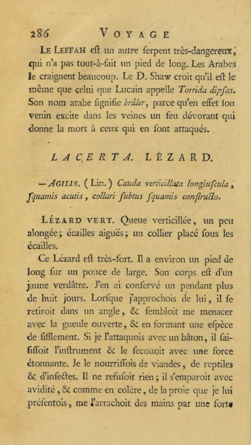 Le Leffah eft un autre ferpent très-dangereux, qui n’a pas tout-à-fait un pied de long. Les Arabes le craignent beaucoup. Le D. Shaw croit qu’il eft le même que celui que Lucain appelle Torrida dipfas. Son nom arabe lignifie brûler, parce qu’en effet fon venin excite dans les veines un feu dévorant qui donne la mort à ceux qui en font attaqués. L J CE RT J. LÉZARD. — Ad Lis. (Lin.) Couda verticillata Ionglufeula y f quamis acutis , collari fubtus fquamis conflruclo. Lézard vert. Queue verticillée, un peu alongée ; écailles aiguës ; un collier placé fous les écailles. Ce Lézard eff très-fort. Il a environ un pied de long fur un pouce de large. Son corps elf d’un jaune verdâtre. J’en ai confervé un pendant plus de huit jours. Lorfque j’approchois de lui, il fe retiroit dans un angle, & fembloit me menacer avec la gueule ouverte, & en formant une efpèce de fifflement. Si je l’attaquois avec un bâton, il fai- fiffoit Finftrument &: le fecoucit avec une force étonnante. Je le nourriiTois de viandes, de reptiles & d’infeèfes. Il ne refufoit rien ; il s’emparoit avec avidité, & comme en colère, de la proie que je lui préfentois, me i’arrachoit, des mains par une fortt