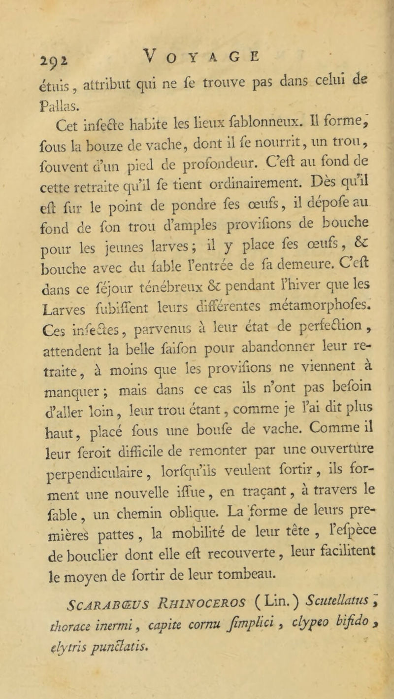 étuis, attribut qui ne fe trouve pas dans celui de Pallas. Cet infecte habite les lieux fablonneux. 11 forme, fous la bouze de vache, dont il fe nourrit, un trou, fouvent d’un pied de profondeur. Ceft au fondée cette retraite qu’il fe tient ordinairement. Des quil eft fur le point de pondre fes œufs, il dépofe au fond de fon trou d’amples provifions de bouche pour les jeunes larves ; il y place fes œufs, &amp; bouche avec du fable l’entree de fa demeure. C efl dans ce féjour ténébreux &amp; pendant l’hiver que les Larves fubiffent leurs différentes métamorphofes. Ces infectes, parvenus à leur état de perfettion , attendent la belle faifon pour abandonner leur re- traite, à moins que les provifions ne viennent à manquer \ mais dans ce cas ils n ont pas befoin d’aller loin, leur trou étant, comme je l’ai dit plus haut, placé fous une boufe de vache. Comme il leur feroit difficile de remonter par une ouverture perpendiculaire, lorsqu’ils veulent fortir, ils for- ment une nouvelle iffue, en traçant, a travcis le fable, un chemin oblique. La forme de leurs pre- mières pattes, la mobilité de leur tête , l’efpèce de bouclier dont elle eft recouverte, leur facilitent le moyen de fortir de leur tombeau. Scarabgzus Rhinocéros (Lin.) Scutdlatus, thorau inermi, cavité, cornu Jîmplici} clypeo bifiao , dytris punclads.