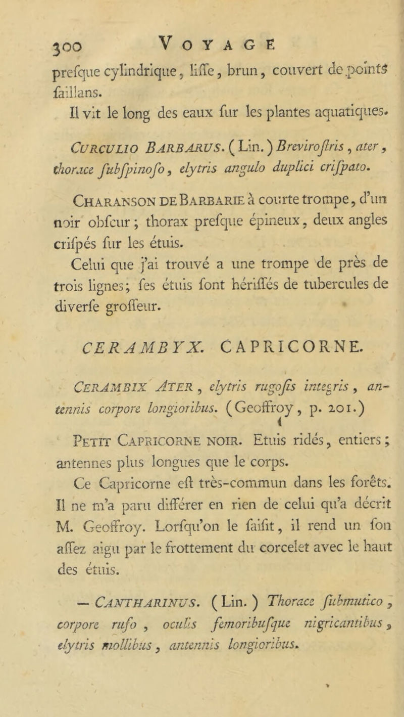 prefque cylindrique, liffe, brun, couvert de .points faillans. Il vit le long des eaux fur les plantes aquatiques. CüRCULlO BARBARUS. ( Lin. ) Brevirojlris , ater , thorj.ce JubJpinofo, elytris angulo duplici crijpato. Charanson de Barbarie à courte trompe, d’un noir obfcur ; thorax prefque épineux, deux angles crifpés fur les étuis. Celui que j’ai trouvé a une trompe de près de trois lignes; fes étuis font hériffés de tubercules de diverfe groffeur. CE R A MB YX. CAPRICORNE. i CerâMBIX Ater , elytris rugojis integris , an- tennis corpore longionbus. (Geoffroy, p. 201.) Petit Capricorne noir. Etuis ridés, entiers; antennes plus longues que le corps. Ce Capricorne eft très-commun dans les forêts. Il ne m’a paru différer en rien de celui qu’a décrit M. Geoffroy. Lorfqu’on le faifit, il rend un fon affez aigu par le frottement du corcelet avec le haut des étuis. — CANTHARlNUS. ( Lin. ) Tkorace fubmutico , corpore rufo , oculls femoribufque nigricantibus, elytris moliions, antennis longioribus.