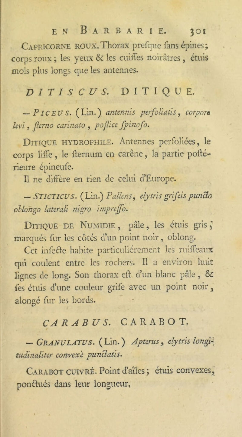 Capricorne roux.Thorax prefque fans épines; corps roux ; les yeux &amp;: les cuilTes noirâtres , étuis mois plus longs que les antennes. DITISClf S. DITIQUE. — P IC EU S. ( Lin. ) antennïs perfoliatis, corport levi, Jlerno carinata , pojüce fpinofo. Ditique hydrophile. Antennes perfoliées, le corps liffe, le fternum en carène, la partie pofté- rieure épineufe. Il ne diffère en rien de celui d’Europe. — STlCTlCUS. (Lin.) P allons ^ dytris grifeis puncta ollongo latorali nigro imprejjo. Ditique de Numidie , pâle, les étuis gris, marqués fur les côtés d’un point noir, oblong. Cet infede habite particuliérement les ruiffeaux qui coulent entre les rochers. Il a environ huit lignes de long. Son thorax eft d’un blanc pâle, Sc fes étuis d’une couleur grife avec un point noir > alongé fur les bords. C A R A B U S. C A R A B O T. — GranULATUS. (Lin.) dp ter us , dytris longi\ tudinaliter convexe punclatïs. Carabot cuivré. Point d’aîles ; étuis convexes, pondues dans leur longueur.