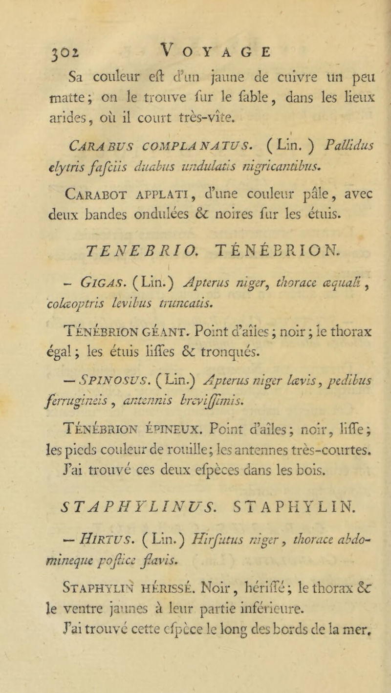 Sa couleur eft d’un jaune de cuivre lin peu matte; on le trouve fur le fable, dans les lieux arides, où il court très-vite. » CARA BU S COMPLANATUS. (Lin.) PaltidllS elytris fafciis duabus undulatïs nigricandbus. Carabot applati, d’une couleur pâle, avec deux bandes ondulées &amp; noires fur les étuis. TE NE B RI O. T É N É E RIO N. - G IGAS. (Lin.) Apuras niger, thorace ocqualï, colaoptris levibus truncaûs. Ténébrion géant. Point d’aîics ; noir ; le thorax égal ; les étuis lifTes &amp;C tronqués. — SPINOSUS. ( Lin.) Apterus nigcr lavis, pedibus ferrugineis, anunnïs brcvijjlmis. Ténébrion épineux. Point d’ailes; noir, lilTe; les pieds couleur de rouille; les antennes très-courtes. J’ai trouvé ces deux cfpèces dans les bois. ST A PH YL IN US. S T A P H Y L I N. — IIlRTUS. (Lin.) Hirfutus nigcr, thorace ahdo- mineque pojhcc f.avïs. Staphylin hérissé. Noir, hériiTé; le thorax le ventre jaunes à leur partie inférieure. Lai trouvé cette cfpcce le long des bords de la mer.