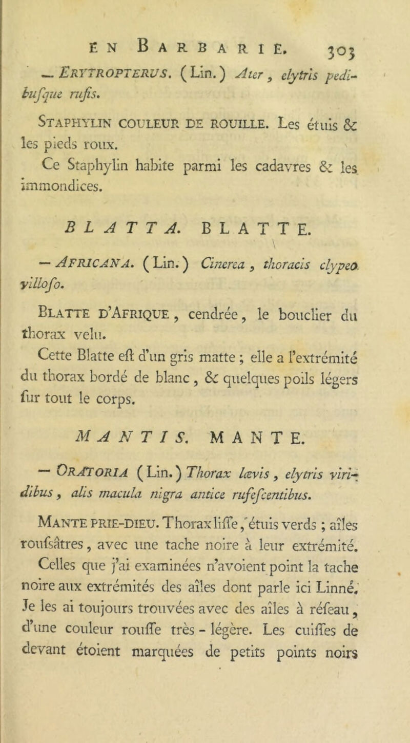 — Erytropterus. ( Lm. ) Aier , clytris pedi- tuf que n/fs. Staphylin couleur de rouille. Les étuis &amp; les pieds roux. Ce Staphylin habite parmi les cadavres &amp;: les immondices. B L A T T A. BLATTE. — Africana. ( Lin. ) Cinerea > tlioracis clypeo. yillofo. Blatte d’Afrique, cendrée, le bouclier du thorax velu. Cette Blatte eft d’un gris matte ; elle a l’extrémité du thorax bordé de blanc , &amp; quelques poils légers fur tout le corps. M A N T I S. MANTE. OrAT oria ( Lin. ) Thorax Levis , elytris vin* dibus, ali s macula nigra anticc rufcfcentibus. Mante prie-dieu. Thorax liffe,'étuis verds ; ailes roufsâtres, avec une tache noire à leur extrémité. Celles que j’ai examinées n’avoient point la tache noire aux extrémités des ailes dont parle ici Linné. Je les ai toujours trouvées avec des ailes à réfeau , d’une couleur ronfle très - légère. Les cuifles de devant étoient marquées de petits points noirs