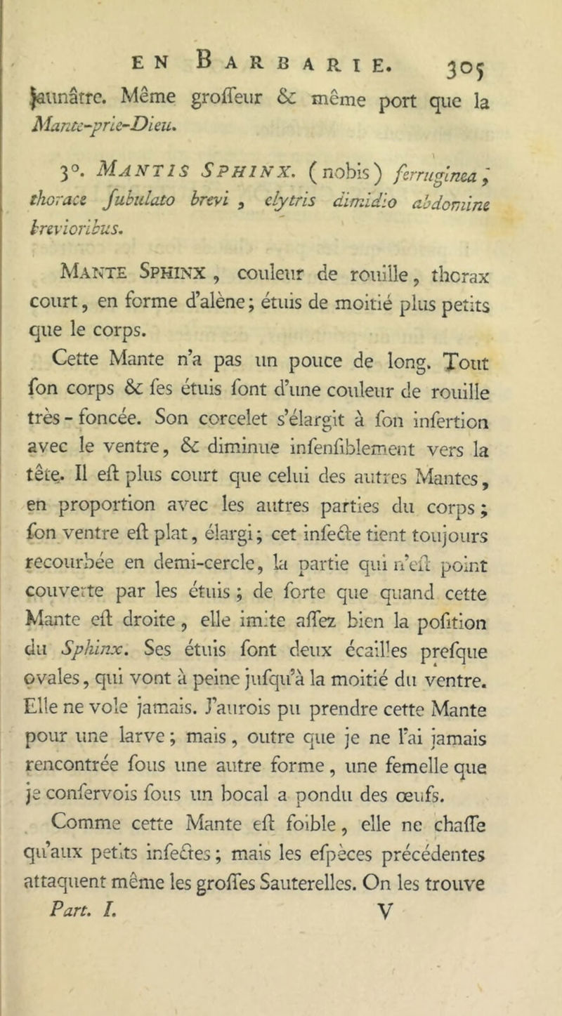 Jaunâtre. Même groffeur &amp; même port que la Mante-prie-Dieu. 30. Mantis Sphinx, (nobis) ferruginea; tkorace Jubulato brevi , clytris dimidio ah domine knvioribus. Mante Sphinx , couleur de rouille, thorax court, en forme d’alène ; étuis de moitié plus petits que le corps. Cette Mante n’a pas un pouce de long. Tout fon corps &amp; fes étuis font d’une couleur de rouille très - foncée. Son corcelet s’élargit à fon infertion avec le ventre, &amp;c diminue infenfiblement vers la têtç. Il eft plus court que celui des autres Mantes, en proportion avec les autres parties du corps ; fon ventre eft plat, élargi ; cet infeéle tient toujours recourbée en demi-cercle, la partie qui n’eft point couverte par les étuis ; de forte que quand cette Mante eft droite, elle imite afiez bien la pofition du Sphinx. Ses étuis font deux écailles prefque ovales, qui vont à peine jufqu’à la moitié du ventre. Elle ne vole jamais. J’aurois pu prendre cette Mante pour une larve ; mais, outre que je ne l'ai jamais rencontrée fous une autre forme, une femelle que je confervois fous un bocal a pondu des œufs. Comme cette Mante eft foible, elle ne chafte qu’aux petits infe&amp;es ; mais les efpèces précédentes attaquent même les grofies Sauterelles. On les trouve Part. I. V