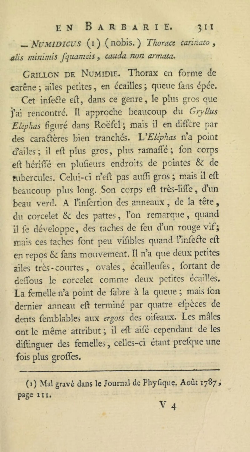 ÎJUMIDICUS (1 ) ( nobis. ) Thoracc carinato , alis minimis fquamcis , couda non armata. Grillon de Numidie. Thorax en forme de carène ; ailes petites , en écailles ; queue fans épée. Cet infefle efl, dans ce genre, le plus gros que fai rencontré. Il approche beaucoup du Gryllus Elephas figuré dans Rcëfel ; mais il en diftcre par des caraêlères bien tranchés. L'Elephas na point d’ailes; il efl plus gros, plus ramaffé ; fon corps efl hérilTé en plufieurs endroits de peintes de tubercules. Celui-ci n’efi pas aufïï gros ; mais il efl beaucoup plus long. Son corps efl très-liffe, d’un beau verd. A l’infertion des anneaux, de la tête, du corcelet &amp;: des pattes, l’on remarque, quand il fe développe, des taches de feu d’un rouge vif; mais ces taches font peu vifibles quand l’infefte efl en repos fans mouvement. Il n’a que deux petites ailes très - courtes , ovales, écailleufes , fortant de dciTous le corcelet comme deux petites écailles. La femelle n’a point de fabre à la queue ; mais fon dernier anneau efl terminé par quatre efpèces de dents femblables aux ergots des oifeaux. Les mâles ont le même attribut ; il efl aifé cependant de les diflinguer des femelles, celles-ci étant prefque une fois plus groffes. (1) Mal gravé dans le Journal de Phyfique. Août 17S7, page m.