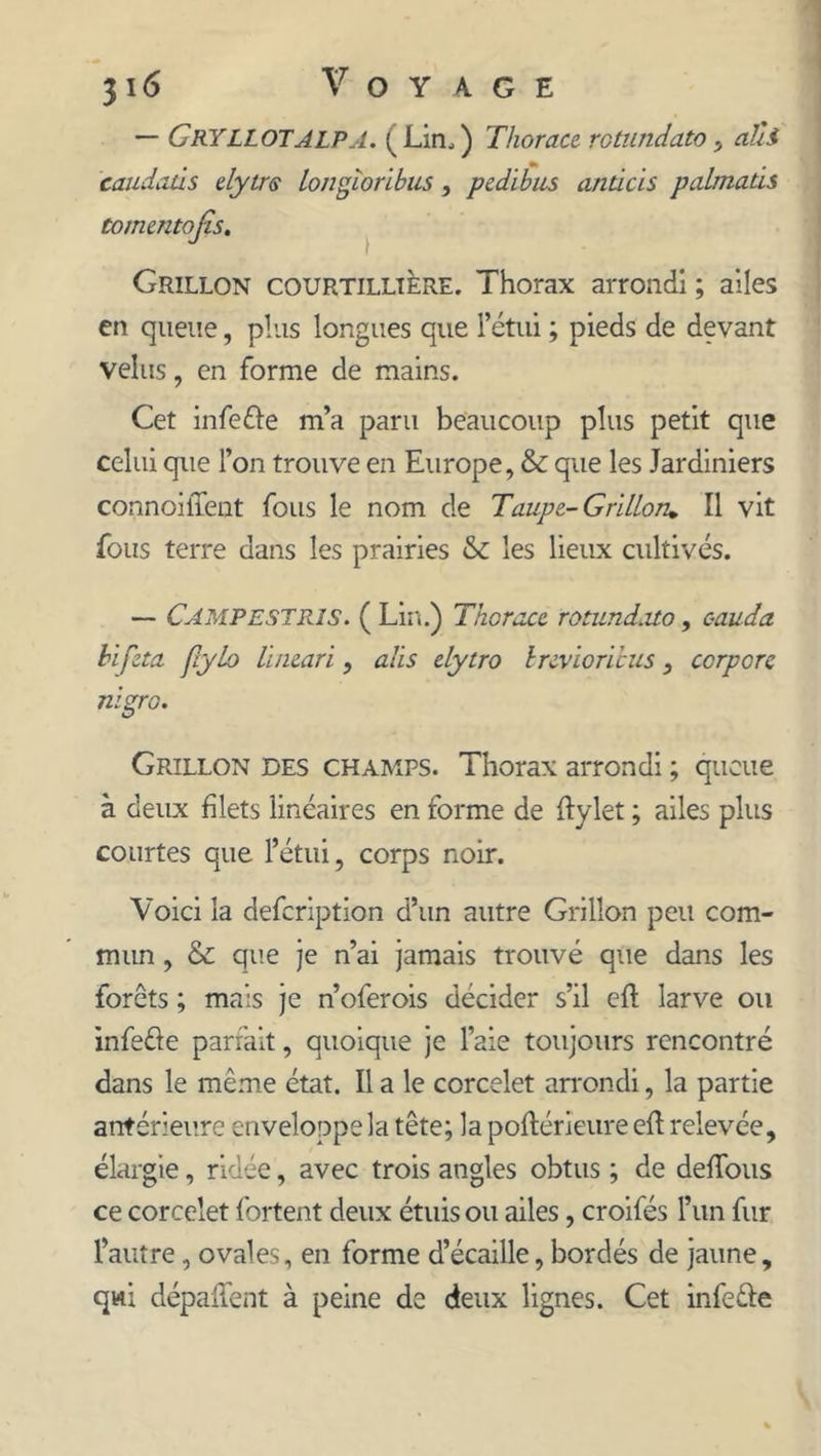31 <5 Voyage — GryLLOTALPA. (Lin.) Thorace rotundato, alli caudaûs elytrs longîoribus, pedibus anticis palmads tonuntofis. Grillon courtillière. Thorax arrondi ; ailes en queue, plus longues que letui ; pieds de devant velus, en forme de mains. Cet infeéfe m’a paru beaucoup plus petit que celui que l’on trouve en Europe, &amp; que les Jardiniers connoiiTent fous le nom de Taupe-Grillon* Il vit fous terre dans les prairies &amp; les lieux cultivés. — Campestrîs. ( Lin.) Thorace rotund.uo, c-auda bifeta flylo li/ieari, alis elytro brevioribus, ccrpore nigro. Grillon des champs. Thorax arrondi ; queue à deux filets linéaires en forme de ftylet ; ailes plus courtes que l’étui, corps noir. Voici la defcription d’un autre Grillon peu com- mun , &amp; que je n’ai jamais trouvé que dans les forêts ; mais je n’oferois décider s’il eft larve ou infeûe parfait, quoique je l’aie toujours rencontré dans le même état. Il a le corcelet arrondi, la partie antérieure enveloppe la tête; la poftérieure efl relevée, élargie, ridée, avec trois angles obtus ; de défions ce corcelet fortent deux étuis ou ailes, croifés l’un fur l’autre, ovales, en forme d’écaille, bordés de jaune, qui dépaffent à peine de deux lignes. Cet infe&amp;e