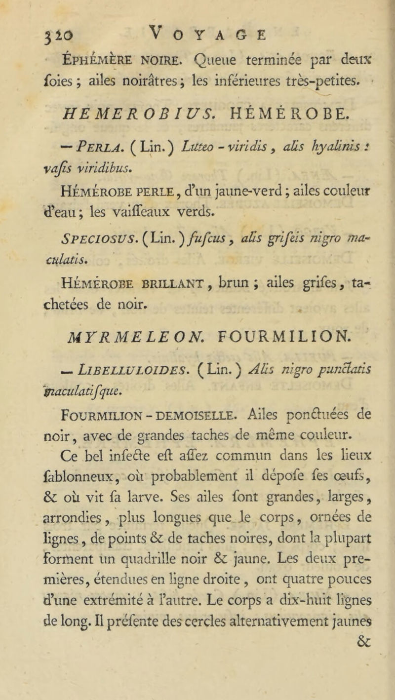 Éphémère noire. Queue terminée par deux foies ; ailes noirâtres ; les inférieures très-petites. HE ME RO B ÎUS. HÉMÉROBE. — Perla. ( Lin.) Lüt&amp;o - virldis , aüs hyaünïs : vajîs viridibus. HémÉrobe perle , d’un jaune-verd ; ailes couleur d’eau; les vaiffeaux verds. SPECIOSUS. ( Lin. ) fufcus, aüs grifeis nigro ma- culatls. HémÉrobe brillant , brun ; ailes grifes, ta- chetées de noir. MYRMELEON. FOURMILION. — Libelluloides. ( Lin. ) Aüs nigro punclatis \'tiaculatifque. Fourmilion - demoiselle. Ailes conciliées de noir, avec de grandes taches de même couleur. Ce bel infefte eft allez commun dans les lieux fablonneux, où probablement il dépofe fes œufs, &amp; ou vit fa larve. Ses ailes font grandes, larges, arrondies, plus longues que le corps, ornées de lignes, de points &amp; de taches noires, dont la plupart forment un quadrille noir &amp; jaune. Les deux pre- mières, étendues en ligne droite , ont quatre pouces d’une extrémité à l’autre. Le corps a dix-huit lignes de long. Il préfente des cercles alternativement jaunes &amp;