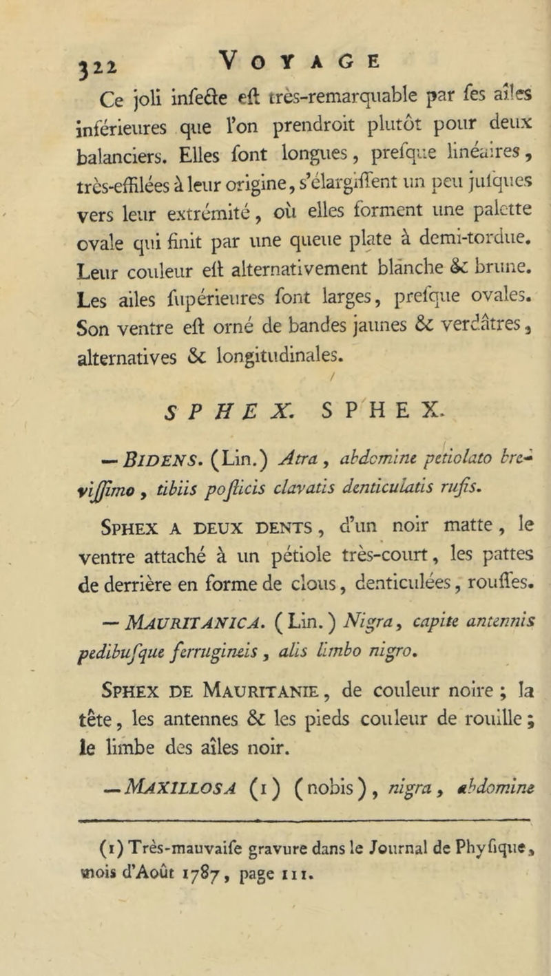 Ce joli infe&amp;e eft très-remarquable par fes ailes inférieures que l’on prendroit plutôt pour deux balanciers. Elles font longues, prefque linéaires, très-effilées à leur origine, s’élargirent un peu julques vers leur extrémité, où elles forment une palette ovale qui finit par une queue plate à demi-tordue. Leur couleur eil alternativement blanche &amp;: brune. Les ailes fupérieures font larges, prefque ovales. Son ventre eft orne de bandes jaunes Sc verdâtres, alternatives &amp; longitudinales. / SPHEX. SPHEX. — BlDENS. (Lin.) Atra , abdcminc pcdolato bre- vljjimo , tibiis pofticis clavatïs dmtkuiatis rufis. Sphex a deux dents , d’un noir matte, le ventre attaché à un pétiole très-court, les pattes de derrière en forme de clous, denticulées, rouffes. — Mau RIT AN IC A. (Lin.) Nigra, capite antennis pedïbufque ferrugineis , ails limbo nigro. Sphex de Mauritanie , de couleur noire ; la tête, les antennes &amp; les pieds couleur de rouille ; le limbe des ailes noir. — AIaXILLOSA (i) (nobis), nigra, *b domine (i) Très-mauvaife gravure dans le Journal de Phyfique, «lois d’Août 1787, page ni.