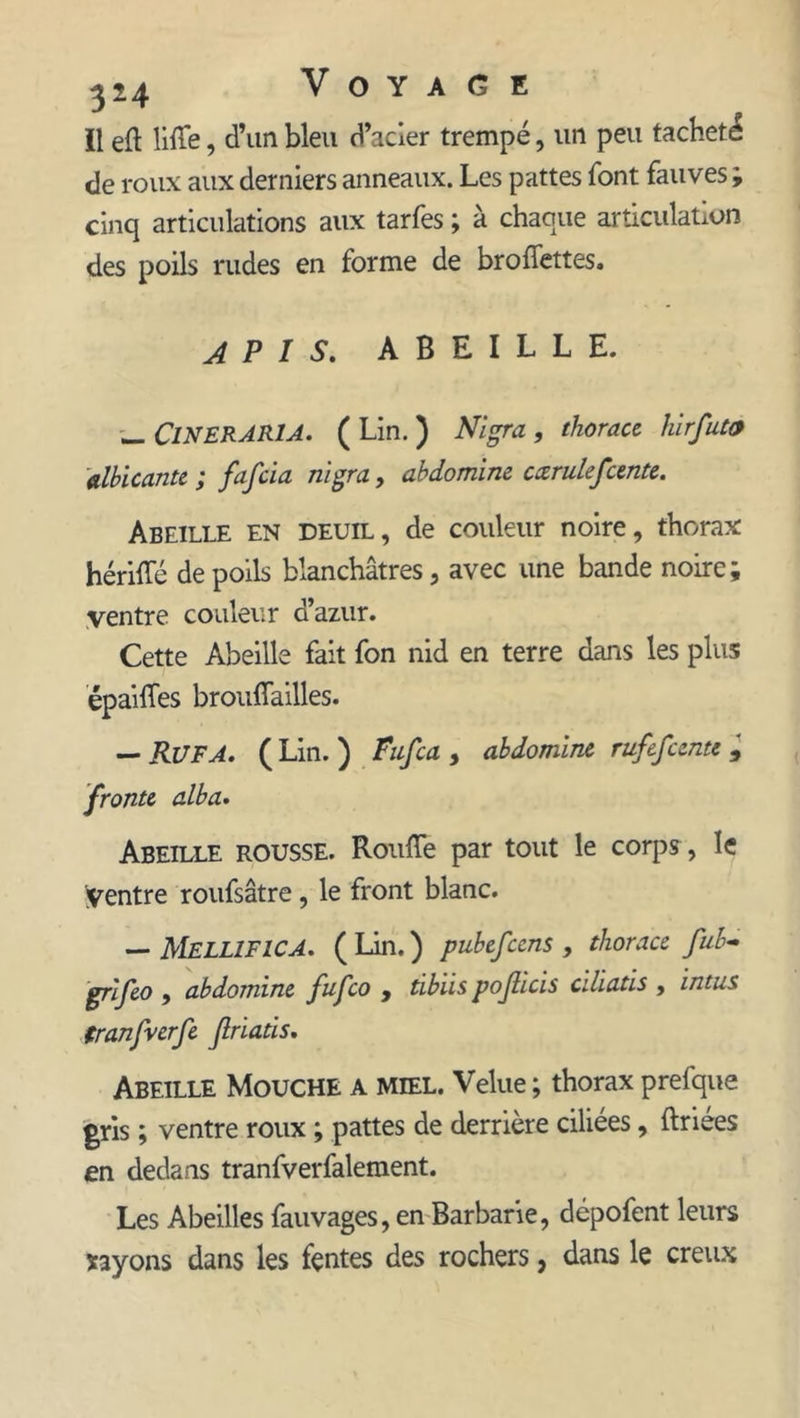 Il eft liffe, d’un bleu d’acier trempé, un peu tachete de roux aux derniers anneaux. Les pattes font fauves ; cinq articulations aux tarfes ; à chaque articulation des poils rudes en forme de brodettes. APIS. ABEILLE. __ ClNERARlA. ( Lin. ) Nigra , thorace hirfuto albicante ; fafcia nigra, abdomine cærulefcente. Abeille en deuil, de couleur noire, thorax hérifle de poils blanchâtres, avec une bande noire; ventre couleur d’azur. Cette Abeille fait fon nid en terre dans les plus épailfes broudailles. — RUFA. (Lin.) Fufca , abdomine rufefcente 9 fronte alba. Abeille rousse. Ronde par tout le corps, le Ventre roufsâtre , le front blanc. — MELLIFICA. (Lin.) pubefcens , tliorace fub- grlfeo , abdomine fufco , tibiis pojîlcis ciliatis , intus tranfverfe Jlrïads. Abeille Mouche a miel. Velue ; thorax prefque gris ; ventre roux ; pattes de derrière ciliées, ftriées en dedans tranfverfalement. Les Abeilles fauvages, en Barbarie, dépofent leurs soyons dans les fentes des rochers, dans le creux