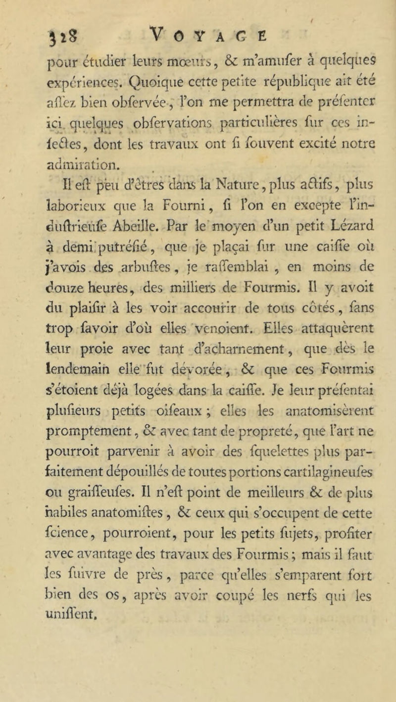pour étudier leurs mœurs, & m’amufer à quelques expériences. Quoique cette petite république ait été allez bien obfervée, l’on me permettra de préfentcr ici quelques obfervations particulières fur ces in- fectes, dont les travaux ont fi fouvent excité notre admiration. Il elt peu d’êtres dans la Nature, plus aélifs, plus laborieux que la Fourni, fi l’on en excepte fin- ci udrieùfe Abeille. Par le moyen d’un petit Lézard à demi putréfié , que je plaçai fur une caille où j’avois des arbuftes , je ralfemblai , en moins de douze heures, des milliers de Fourmis. Il y avoit du plaifir à les voir accourir de tous côtés, fans trop favoir d’où elles venoient. Elles attaquèrent leur proie avec tant d’acharnement, que dès le lendemain elle fut dévorée, & que ces Fourmis s’étoient déjà logées dans la caille. Je leur préfentai plufieurs petits oifeaux ; elles les anatomisèrent promptement, & avec tant de propreté, que l’art ne pourroit parvenir à avoir des fquelettes plus par- faitement dépouillés de toutes portions cartilagineufès ou grailfeufes. Il n’eft point de meilleurs & de plus habiles anatomides , & ceux qui s’occupent de cette fcience, pourroient, pour les petits fujets, profiter avec avantage des travaux des Fourmis ; mais il faut les fuivre de près, parce qu’elles s’emparent fort bien des os, après avoir coupé les nerfs qui les unifient.