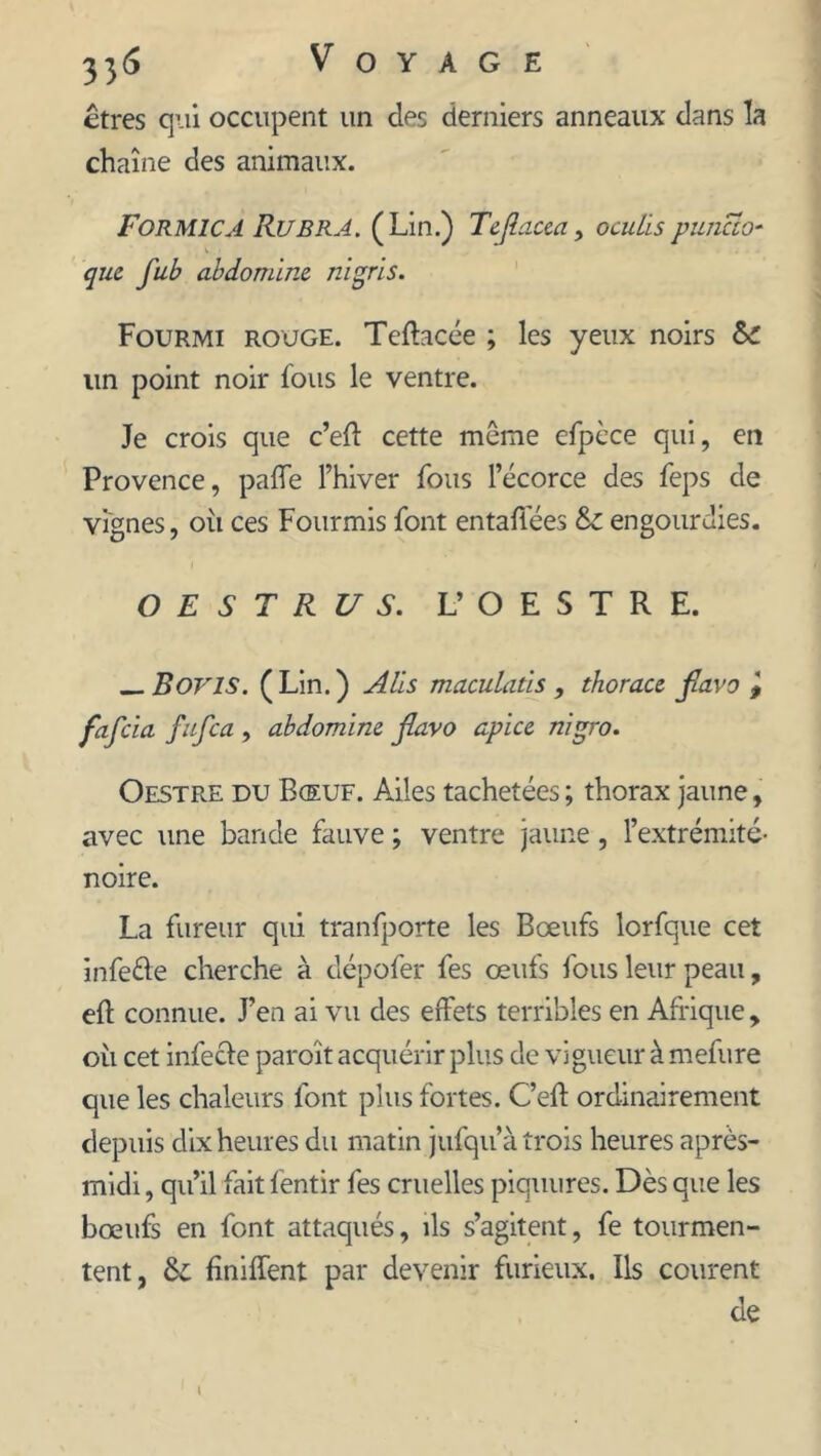 êtres qui occupent un des derniers anneaux dans la chaîne des animaux. Formica Ruera. (Lin.) Tejlacea, ocukspuncto- fub abdomine ni gris. Fourmi rouge. Teflacée ; les yeux noirs &£ lin point noir fous le ventre. Je crois que c’eft cette même efpèce qui, en Provence, pâlie l’hiver fous l’écorce des feps de vignes, où ces Fourmis font entafiees & engourdies. O E S T R U S. L’ OESTRE. __Bons. (Lin.) A lis maculatis , thorace jlavo , fafcia fufca , abdomine jlavo apice. nigro. Oestre du Bœuf. Ailes tachetées ; thorax jaune, avec une bande fauve ; ventre jaune, l’extrémité- noire. La fureur qui transporte les Bœufs lorfque cet infette cherche à dépofer fes œufs fous leur peau, efl connue. J’en ai vu des effets terribles en Afrique , où cet infecte paro'it acquérir plus de vigueur à mefure que les chaleurs font plus fortes. C’eft ordinairement depuis dix heures du matin jufqu’à trois heures après- midi , qu’il fait fentir fes cruelles piquures. Dès que les bœufs en font attaqués, ils s’agitent, fe tourmen- tent, &: Unifient par devenir furieux. Ils courent de