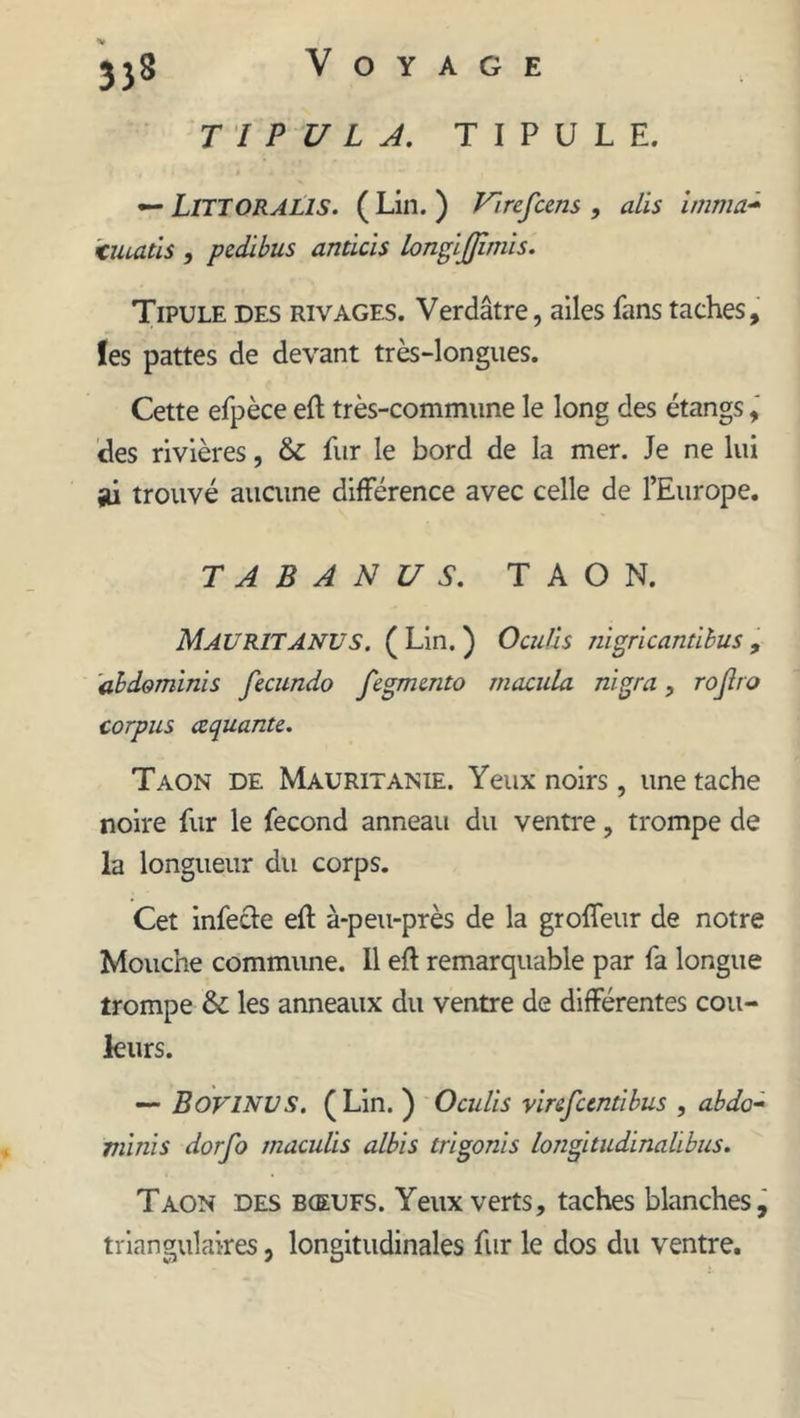 3îS T I P U L A. TIPULE. — LlTTORALIS. ( Lin. ) Virefcens , alis imma- cuuttis , p edi bus anticis longijjimis. Tipule des rivages. Verdâtre, ailes fans taches, les pattes de devant très-longues. Cette efpèce eft très-commune le long des étangs, des rivières, & fur le bord de la mer. Je ne lui ai trouvé aucune différence avec celle de l’Europe. T A B A N U S. TAON. MauRITANUS. ( Lin. ) Ocuüs nigricantibus , abdo mi ni s fecundo fegmento macula nigra , rojlro corpus cequante. Taon de Mauritanie. Yeux noirs, une tache noire fur le fécond anneau du ventre, trompe de la longueur du corps. Cet infecte eft à-peu-près de la grodeur de notre Mouche commune. Il eft remarquable par fa longue trompe & les anneaux du ventre de différentes cou- leurs. — BoviNVS. (Lin. ) Oculis virefeentibus , abdo- minis dorfo maculis albis trigonis longitudinalibus. Taon des bœufs. Yeux verts, taches blanches, triangulaires, longitudinales fur le dos du ventre.