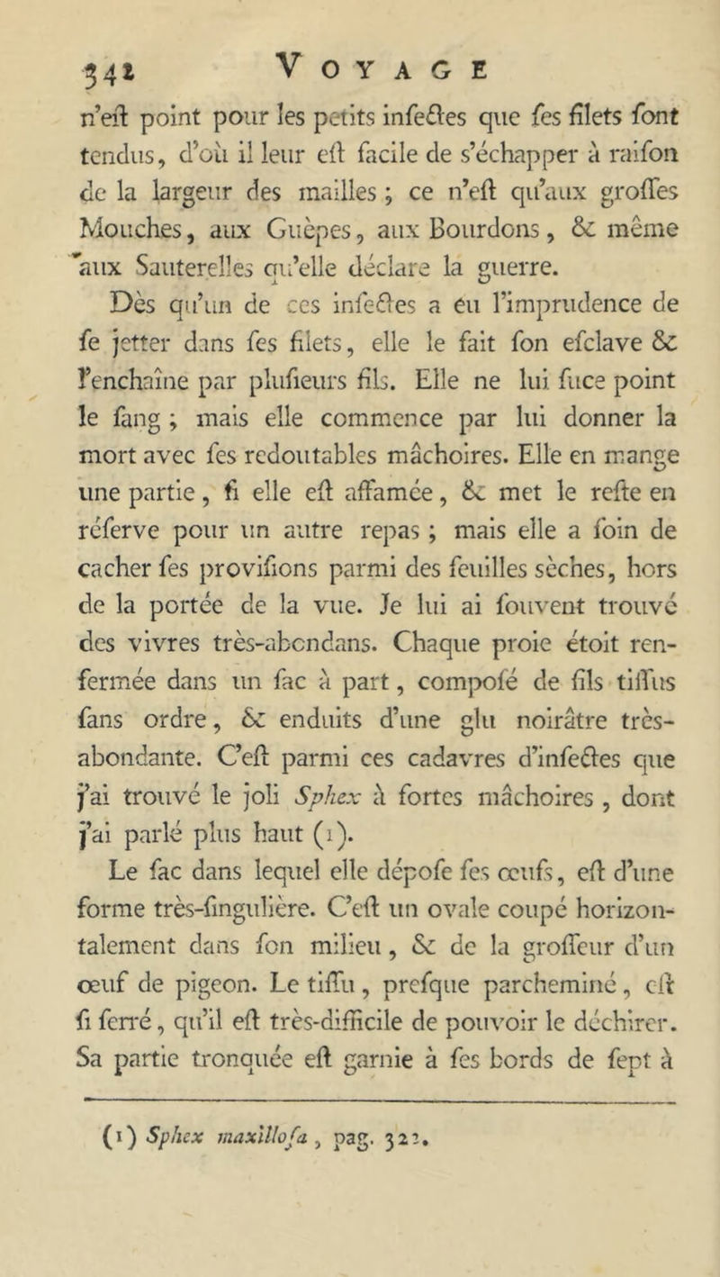 n’efl point pour les petits infeéles que Tes filets font tendus, d’où il leur efl facile de s’échapper à raifort de la largeur des mailles ; ce n!efl qu’aux groffes Mouches, aux Guêpes, aux Bourdons, &amp; même 'aux Sauterelles cm’elle déclare la guerre. X O Dès qu’un de ces infeéles a eu l’imprudence de fe jetter dans fes filets, elle le fait fon efclave &amp; l’enchaîne par plufieurs fils. Elle ne lui face point le fang ; mais elle commence par lui donner la mort avec fes redoutables mâchoires. Elle en mange une partie, fi elle efl affamée, met le refte en réferve pour un autre repas ; mais elle a foin de cacher fes provifions parmi des feuilles sèches, hors de la portée de la vue. Je lui ai fouvent trouvé des vivres très-abcndans. Chaque proie étoit ren- fermée dans un fac à part, compofé de fils tiifus fans ordre, &amp;C enduits d’une glu noirâtre très- abondante. C’efl parmi ces cadavres d’infeéles que j’ai trouvé le joli Sphex fortes mâchoires , dont j’ai parlé plus haut (1). Le fac dans lequel elle dépofe fes œufs, efl d’une forme très-finguîière. C’efl un ovale coupé horizon- talement dans fon milieu, &amp; de la groffeur d’un œuf de pigeon. Le tifTu, prefque parcheminé, cil fi ferré, qu’il efl très-difficile de pouvoir le déchirer. Sa partie tronquée efl garnie à fes bords de fept à (i) Sphex maxlllofa , pag. 321.