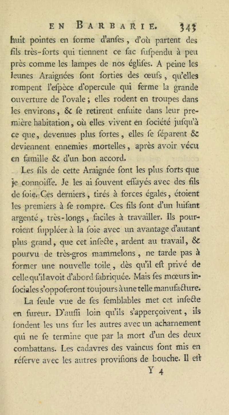 huit pointes en forme d’anfes , d’où partent des fils très-forts qui tiennent ce fac fufpendu à peu près comme les lampes de nos églifes. A peine les Jeunes Araignées font forties des œufs , quelles rompent l’efpèce d'opercule qui ferme la grande ouverture de l’ovale ; elles rodent en troupes dans les environs, fe retirent enfuite dans leur pre- mière habitation, où elles vivent en fociété jufqu’à ce que, devenues plus fortes, elles fe féparent &amp;z deviennent ennemies mortelles, après avoir vécu en famille &amp; d’un bon accord. Les fils de cette Araignée font les plus forts que je connoiffe. Je les ai fouvent efiayés avec des fils de foie. Ces derniers, tirés à forces égales, étoient les premiers à fe rompre. Ces fils font d’un luifant argenté, très - longs, faciles à travailler. Ils pour- roient fuppléer à la ioie avec un avantage d’autant plus grand, que cet infeéle, ardent au travail, &amp;C pourvu de très-gros mammelons , ne tarde pas à former une nouvelle toile , dès qu’il efi: privé de celle qu’il avoit d’abord fabriquée. Mais fes mœurs in* fociales s’oppoferont toujours aune telle manufaéhire. La feule vue de fes femblables met cet infeéle en fureur. D’auiïi loin qu’ils s’apperçoivent, ils fondent les uns fur les autres avec un acharnement qui ne fe termine que par la mort d’un des deux combattans. Les cadavres des vaincus font mis en réferve avec les autres provifions de bouche. Il ell Y 4