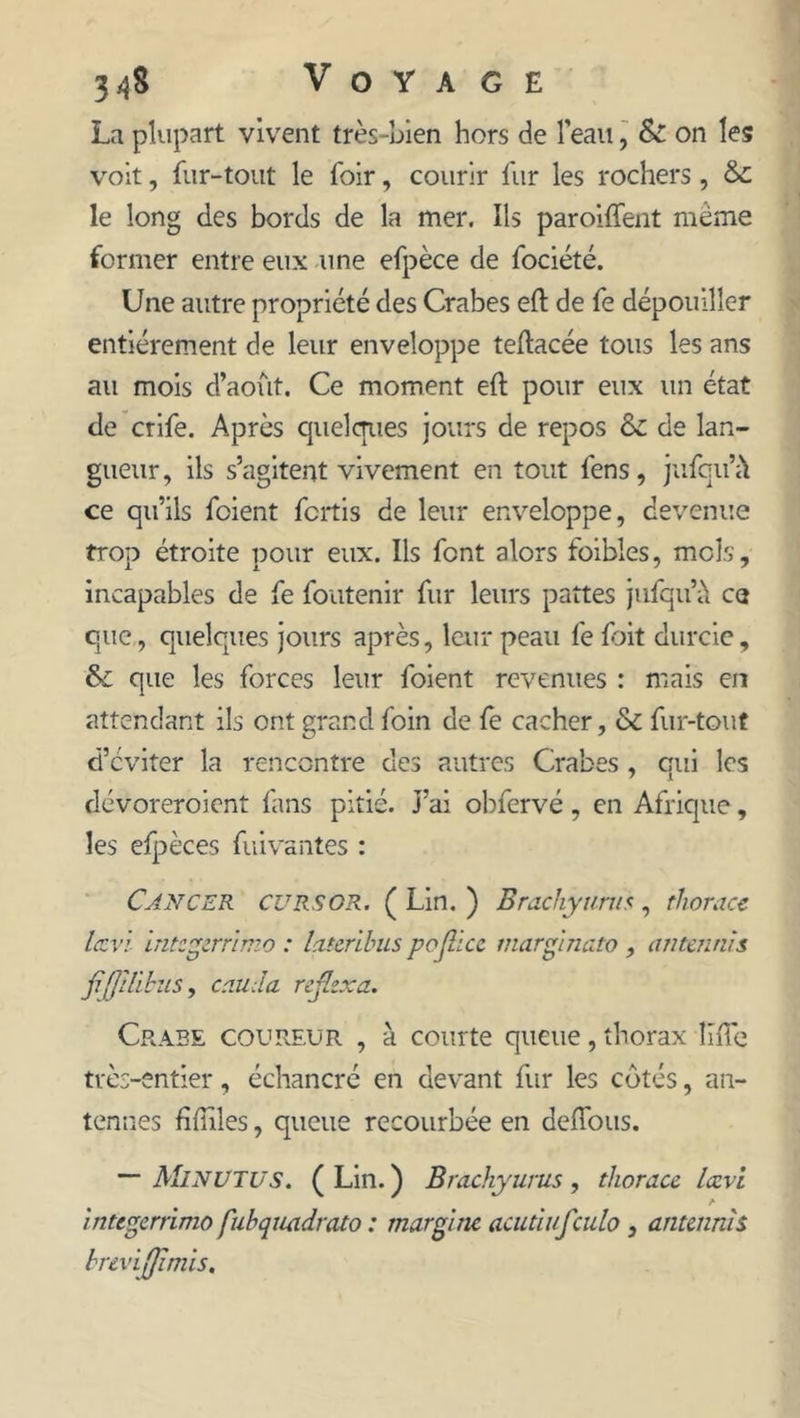 3<j8 Voyage La plupart vivent très-bien hors de l’eau, &amp; on les voit, fur-tout le foir, courir fur les rochers, &amp;£ le long des bords de la mer. Ils parodient meme former entre eux une efpèce de fociété. Une autre propriété des Crabes eft de fe dépouiller entièrement de leur enveloppe teftacée tous les ans au mois d’août. Ce moment eft pour eux un état de crife. Après quelques jours de repos &amp; de lan- gueur, ils s’agitent vivement en tout fens, jnfqu’a ce qu’ils foient fcrtis de leur enveloppe, devenue trop étroite pour eux. Ils font alors foibles, mois, incapables de fe foutenir fur leurs pattes jufqu’à ce que , quelques jours après, leur peau fe foit durcie, &amp; que les forces leur foient revenues : mais en attendant ils ont grand foin de fe cacher, &amp; fur-tout d’éviter la rencontre des autres Crabes, qui les dévoreroient fans pitié. J’ai obfervé, en Afrique, les efpèces fuivantes : Cancer cursor. ( Lin. ) Brachyurus, thorace Iccvi intzgcrrimo : lateribus pojlicc marginato , amenais fijjilïbus, cauda reflcxa. Crabe coureur , à courte queue, thorax îïfTe très-entier, échancré en devant fur les côtés, an- tennes fifiiles, queue recourbée en deiTous. — MlNUTUS. ( Lin. ) Brachyurus , thoracc Iccvi intcgerrimo fubquadrato : marginc acutiufculo, antcnnh brtvijjimis.