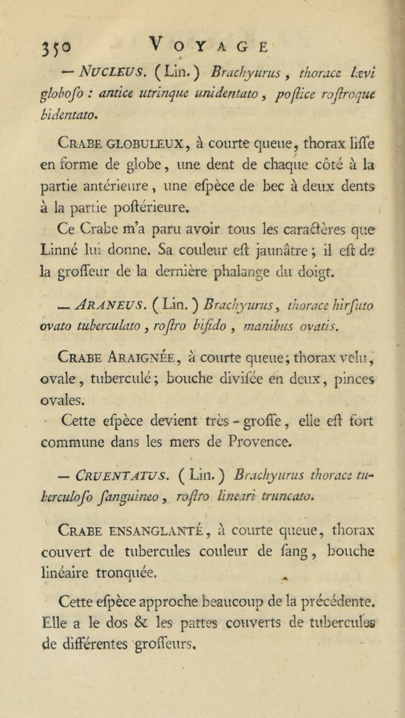 — Nucléus. ( Lin. ) Brachyurus, thoracc Uvi globofo : antice utrinque umdcntato, pojîice rojiroqui bidentato. Crabe globuleux, à courte queue, thorax liffe en forme de globe, une dent de chaque côté à la partie antérieure, une efpèce de bec à deux dents à la partie poftérieure. Ce Crabe m’a paru avoir tous les caractères que Linné lui donne. Sa couleur eft jaunâtre ; il eft de la groffeur de la dernière phalange du doigt. — ARANEUS. ( Lin. ) Brachyurus, thoracc hirfuto ovato tuhcrculato , rojîro bifido , mdnibus ovatis. Crabe Araignée, à courte queue; thorax velu, ovale, tubercule ; bouche divil'ée en deux, pinces ovales. Cette efpèce devient très - groffe, elle efl fort commune dans les mers de Provence. — CRUENTATUS. ( Lin. ) Brachyurus thoracc tu- hrculofo fanguineo, rojîro lineari truncato. Crabe ensanglanté, a courte queue, thorax couvert de tubercules couleur de fang, bouche linéaire tronquée. Cette efpèce approche beaucoup de la précédente. Elle a le dos & les pattes couverts de tubercules de différentes groffeurs.