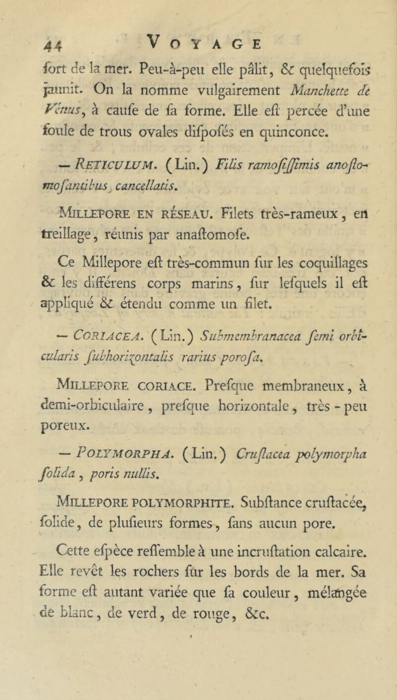 fort delà mer. Peu-à-peii elle pâlit, & quelquefois jaunit. On la nomme vulgairement Manchette de yénus^ à caiife de fa forme. Elle eE percée d’une foule de trous ovales difpofés en quinconce. Réticulum. (Lin.) Filïs ramojijfîmis anojlo^ mofantibus cancellatls. Millepore en réseau. Filets très-rameux, en treillage, réunis par anaflomofe. Ce Millepore eft très-commun fur les coquillages & les différens corps marins, fur lefquels il eft aj5pliqué & étendu comme un filet. I — Cgriacea. (Lin.) Submcmhranacea femi orhî- cularls fubhon:{ontaüs rarïus porofa. Millepore coriace. Prefque membraneux, à demi-orbiculaire , prefque horizontale, très - peu poreux. — PoLYMORPHA. (Lin.) Cmjlacea polymorpha folida, poris nuUis. Millepore polymorphite. Subftance cruftacée, folide, de plufieurs formes, fans aucun pore. Cette efpèce reflemble à une incniftation calcaire. Elle revêt les rochers fur les bords de la mer. Sa forme eft autant variée que fa couleur, mélangée de blanc, de verd, de rouge, &c.