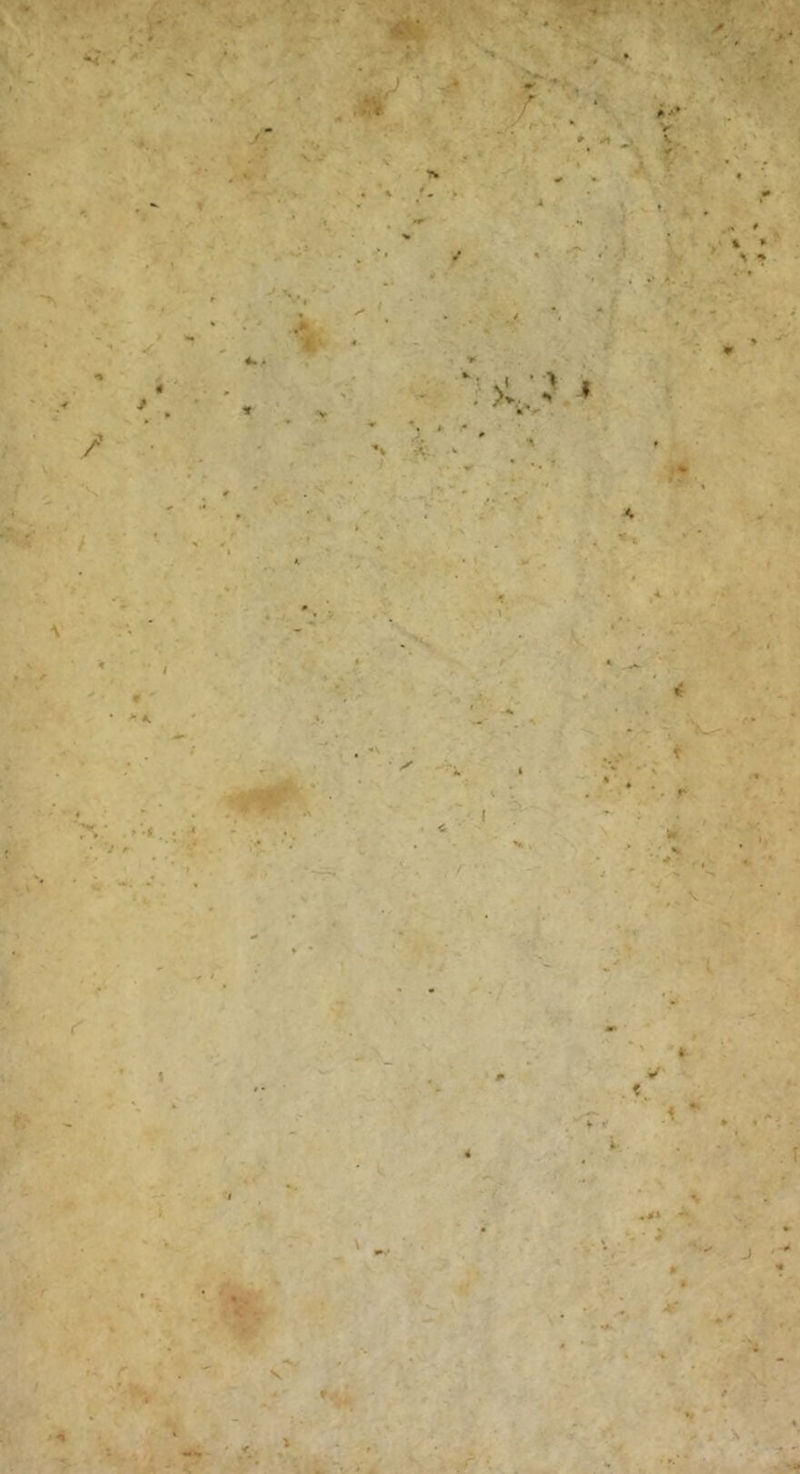 * t •v 4 \ i * •i /*V