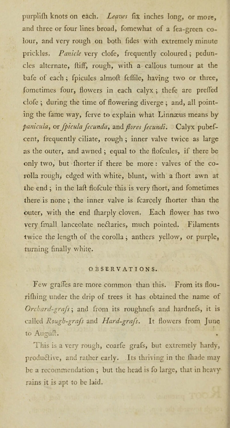 purplifh knots on each. Leaves fix inches long, or more, and three or four lines broad, fomewhat of a fea-green co- lour, and very rough on both fides yvith. extremely minute prickles. Panicle very clofe, frequently coloured; pedun- cles alternate, ftiff, rough, with a callous tumour at the y bafe of each; fpicules almoft feflile, having two or three, fometimes four, flowers in each calyx ; thefe are prefled clofe ; during the time of flowering diverge ; and, all point- ing the fame way, ferve to explain what Linnaeus means by ■panicula, or fpicula fecunda, and florcs Jecundi. Calyx pubef- cent, frequently ciliate, rough ; inner valve twice as large as the outer, and awned ; equal to the flofcules, if there be only two, but-fhorter if there be more: valves of the co- rolla rough, edged with white, blunt, with a fhort awn at the end ; in the lafl: flofcule this is very fhort, and fometimes there is none ; the inner valve is fcarcely fhorter than the outer, with the end fharply cloven. Each flower has two very fmall lanceolate nectaries, much pointed. Filaments twice the length of the corolla; anthers yellow, or purple, turning finally white. OBSERVATIONS. Few grades are more common than this. From its flou- rifhing under the drip of trees it has obtained the name of Qrchard-grafs; and from its roughnefs and hardnefs, it is called Rougb-grafs and Hard-grajs. It flowers from June f to Auguff. This is a very rough, coarfe grafs, but extremely hardy, productive, and rather early. Its thriving in the ihadc may be a recommendation ; but the head is fo large, that in heavy rains it is apt to be laid.