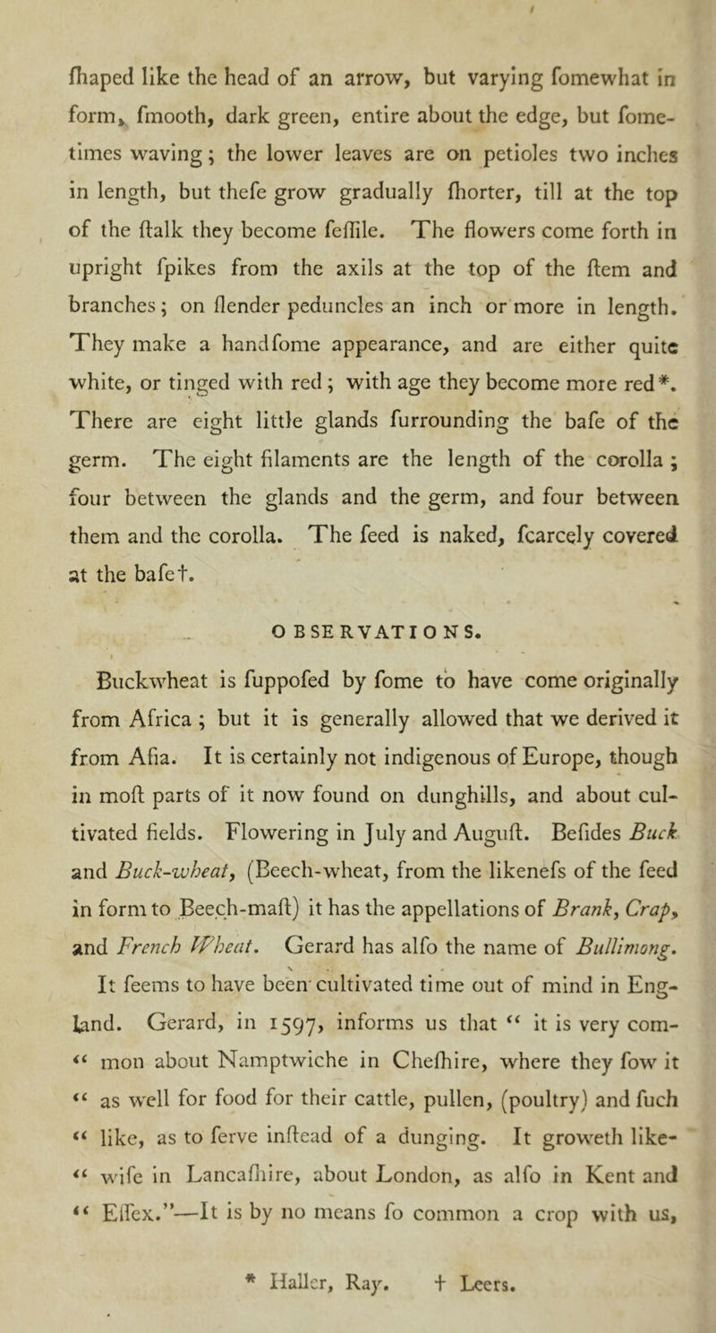 fhaped like the head of an arrow, but varying fomewhat in form, fmooth, dark green, entire about the edge, but fome- times waving; the lower leaves are on petioles two inches in length, but thefe grow gradually fhorter, till at the top of the fdalk they become feffile. The flowers come forth in upright fpikes from the axils at the top of the Idem and branches; on flender peduncles an inch or more in length. They make a handfome appearance, and are either quite white, or tinged with red ; with age they become more red*. There are eight little glands furrounding the bafe of the germ. The eight filaments are the length of the corolla ; four between the glands and the germ, and four between them and the corolla. The feed is naked, fcarcely covered at the bafet. OBSERVATIONS. i Buckwheat is fuppofed by fome to have come originally from Africa ; but it is generally allowed that we derived it from Afia. It is certainly not indigenous of Europe, though in mold parts of it now found on dunghills, and about cul- tivated fields. Flowering in July and Augufd. Befides Buck and Buck-wheat, (Beech-wheat, from the likenefs of the feed in form to Beech-maid) it has the appellations of Brank, Crapy and French Wheat. Gerard has alfo the name of Bullimong. \ « It feems to have been cultivated time out of mind in Eng- land. Gerard, in 1597? informs us that ££ it is very com- <£ mon about Namptwiche in Chefhire, where they fow it <£ as well for food for their cattle, pullen, (poultry) and fuch <£ like, as to ferve infdead of a dunging. It groweth like- <£ wife in Lancafhire, about London, as alfo in Kent and <£ Elfex.”—It is by no means fo common a crop with us, * Haller, Ray. + Leers.