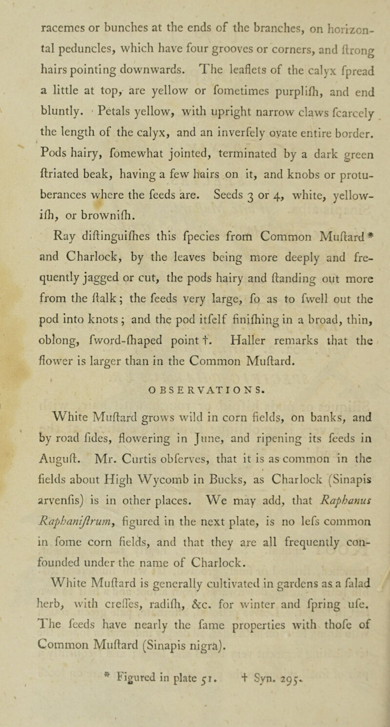 racemes or bunches at the ends of the branches, on horizon- tal peduncles, which have four grooves or corners, and ftrong hairs pointing downwards. The leaflets of the calyx fpread a little at top,- are yellow or fometimes purplifh, and end bluntly. Petals yellow, with upright narrow claws fcarcely the length of the calyx, and an inverfely ovate entire border. I w Pods hairy, fomewhat jointed, terminated by a dark green ftriated beak, having a few hairs on it, and knobs or protu- berances where the feeds are. Seeds 3 or 4, white, yellow- ifh, or brownifh. Ray diflinguifhes this fpecies from Common Mu hard * and Charlock, by the leaves being more deeply and fre- quently jagged or cut, the pods hairy and {landing out more from the flalk; the feeds very large, fo as to fwell out the pod into knots; and the pod itfelf finifhing in a broad, thin, oblong, fword-fhaped point t. Haller remarks that the flower is larger than in the Common Muflard. OBSE R V AT I O N S. White Muflard grows wild in corn fields, on banks, and by road fides, flowering in June, and ripening its feeds in Augufl. Mr. Curtis obferves, that it is as common in the fields about High Wycomb in Bucks, as Charlock (Sinapis arvenfis) is in other places. We may add, that Raphanus Raphanijlrum, figured in the next plate, is no lefs common in fome corn fields, and that they are all frequently con- founded under the name of Charlock. White Muflard is generally cultivated in gardens as a falad herb, with creffes, radifh, &c. for winter and fpring ufe. 1 he feeds have nearly the fame properties with thofe of Common Muflard (Sinapis nigra). * Figured in plate 51. + Syn. 29^