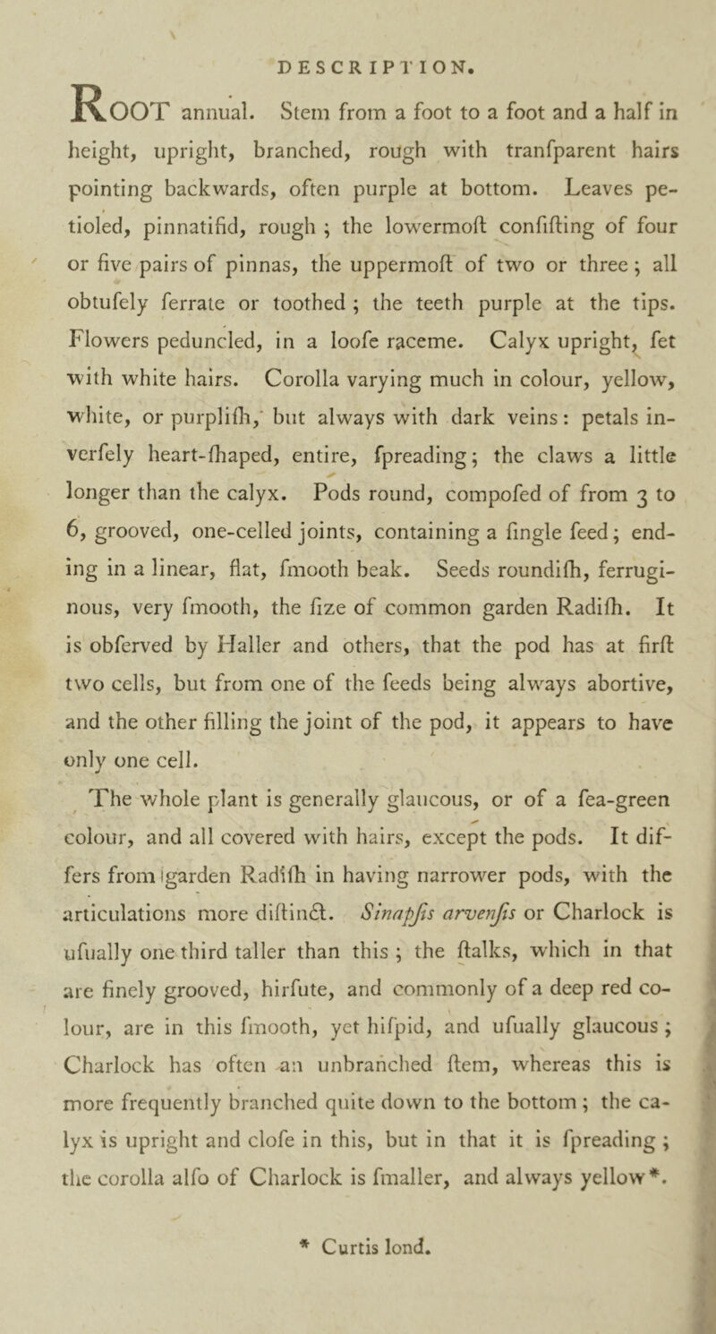 DESCRIPTION. Root annual. Stem from a foot to a foot and a half in height, upright, branched, rough with tranfparent hairs pointing backwards, often purple at bottom. Leaves pe- tioled, pinnatifid, rough ; the lowermofl confiding of four or five pairs of pinnas, the uppermoft of two or three; all obtufely ferrate or toothed ; the teeth purple at the tips. Flowers peduncled, in a loofe raceme. Calyx upright, fet •with white hairs. Corolla varying much in colour, yellow, white, or purplifh,' but always with dark veins: petals in- verfely heart-fhaped, entire, fpreading; the claws a little longer than the calyx. Pods round, compofed of from 3 to 6, grooved, one-celled joints, containing a fingle feed; end- ing in a linear, flat, fmooth beak. Seeds roundilh, ferrugi- nous, very fmooth, the fize of common garden Radifh. It is obferved by Haller and others, that the pod has at firft two cells, but from one of the feeds being always abortive, and the other filling the joint of the pod, it appears to have only one cell. J The whole plant is generally glaucous, or of a fea-green colour, and all covered with hairs, except the pods. It dif- fers from igarden Radifh in having narrower pods, with the articulations more diftindt. Sinapjis arvenfis or Charlock is ufually one third taller than this ; the ftalks, which in that are finely grooved, hirfute, and commonly of a deep red co- j ' * . lour, are in this fmooth, yet hifpid, and ufually glaucous ; Charlock has often an unbranched flem, whereas this is more frequently branched quite down to the bottom ; the ca- lyx is upright and clofe in this, but in that it is fpreading ; the corolla alfo of Charlock is fmaller, and always yellow*. * Curtis lond.