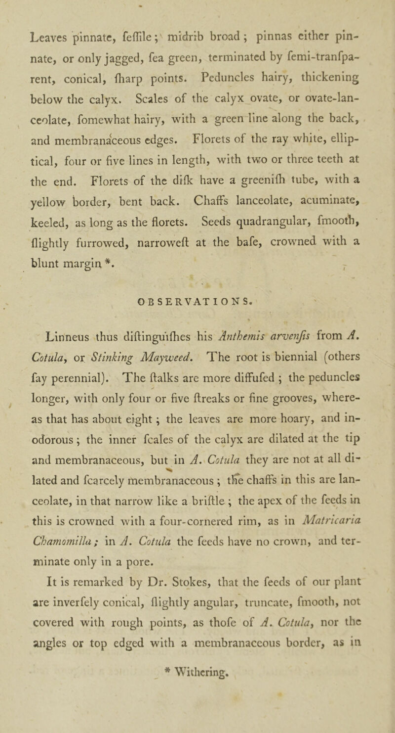 Leaves pinnate, feflile; midrib broad; pinnas either pin- nate, or only jagged, Tea green, terminated by femi-tranfpa- rent, conical, (harp points. Peduncles hairy, thickening below the calyx. Scales of the calyx ovate, or ovate-lan- ceolate, fomewhat hairy, with a green line along the back, and membranaceous edges. Florets of the ray white, ellip- tical, four or five lines in length, with two or three teeth at the end. Florets of the difk have a greenifh tube, with a yellow border, bent back. Chaffs lanceolate, acuminate, keeled, as long as the florets. Seeds quadrangular, fmooth, (lightly furrowed, narrowed: at the bafe, crowned with a blunt margin *. O B SERVAT IONS. Linneus thus diftinguifhes his Anthemis arvenjis from A. Cotula, or Stinking Mayweed. The root is biennial (others fay perennial). The ftalks are more diffufed ; the peduncles longer, with only four or five flreaks or fine grooves, where- as that has about eight; the leaves are more hoary, and in- odorous ; the inner fcales of the calyx are dilated at the tip and membranaceous, but in A. Cotula they are not at all di- lated and fcarcely membranaceous ; the chaffs in this are lan- ceolate, in that narrow like a briflle ; the apex of the feeds in this is crowned with a four-cornered rim, as in Matricaria Chamomilla ; in A. Cotula the feeds have no crown, and ter- minate only in a pore. It is remarked by Dr. Stokes, that the feeds of our plant are inverfely conical, flightly angular, truncate, fmooth, not covered with rough points, as thofe of A. Cotula, nor the angles or top edged with a membranaceous border, as in * Withering.