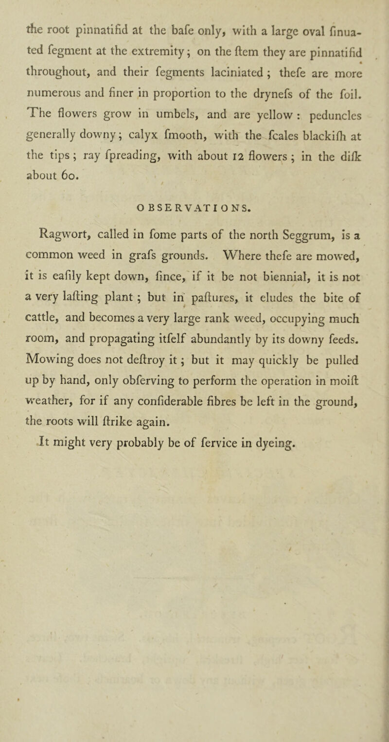 die root pinnatifid at the bafe only, with a large oval finua- ted fegment at the extremity; on the dem they are pinnatifid 4 throughout, and their fegments laciniated ; thefe are more numerous and finer in proportion to the drynefs of the foil. The flowers grow in umbels, and are yellow : peduncles generally downy; calyx fmooth, with the fcales blackifh at the tips ; ray fpreading, with about 12 flowers ; in the difk about 60. O BSE RVAT I O NS. Ragwort, called in fome parts of the north Seggrum, is a common weed in grafs grounds. Where thefe are mowed, it is eafily kept down, fince, if it be not biennial, it is not a very lading plant ; but in padures, it eludes the bite of cattle, and becomes a very large rank weed, occupying much room, and propagating itfelf abundantly by its downy feeds. Mowing does not dedroy it; but it may quickly be pulled up by hand, only obferving to perform the operation in moid weather, for if any confiderable fibres be left in the ground, the roots will drike again. It might very probably be of fervice in dyeing.