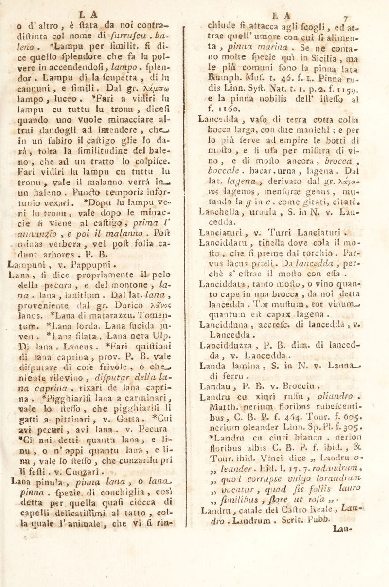 o ti’ altro , è Hata da noi contra- dillinta col nome di furrufcu . ba- leno . *Lampu per iimilit. fi di- ce quello fplendore che fa la pol- vere in accendendoli, lampo . fplen- dor , Lampa di la fcupetta , di hi canalini, e limili. Dal gr. x&pnra lampo , luceo « *Fari a vidiri In lampu cu tuttu In tronu , dicefi quando uno vuole minacciare al- trui dandogli ad intendere , che~* in un Cubito il cailigo glie Io da- rà , tolta la fimilitudine del bale- no , che ad un tratto lo colpifce. Fari vidiri lu lampu cu tuttu lu tronu , vale il malanno verrà in—* un baleno » Punito temporis infor- tunio vexari. *Dopu lu lampa ve- ri lu tronu, vale dopo le minac- ele lì viene al cafidgo » prima l' annuncio , e poi il malanno . Poib - minas verbera , vel polì folia ca- dunt arbores • P. B. Lampuni , v. Pappupni. Lana, ii dice propriamente il pelo della pecora , e dei montone > la- na . lana , lanitium . Dal lat. lana , proveniente dal gr. Dorico AoVos lanos. *Lana di mata razza. Tomen- tum. *Lana lorda. Lana fucida ju* veri . *Lana filata . Lana nera Ulp. Di lana . Laneus . *Fari quiftiani di lana caprina , prov. P. B. vale difputare di cole frìvole , o che^ niente rilevino , difputar delia la- na caprina . rixari de lana capri- na . *P?gghiarifi lana a carminari, vale lo hello , che pigghiarifi li gatti a pittinari, v. Gatta. *Cui avi p e curi , avi lana . v. Pecura *€i imi detti quanta lana, e li- mi j o n’ appi quantu lana , e li- mi , vale lo iteffo , che cunzariJu pri li felli . v. Giullari. Lana pinula , pinna lana , o lana-» pinna . fpezie. di conchiglia , così detta per quella quali ciocca di capelli delicatiCfimi ai tatto , col- la quale T animale , che vi fi rin- LA 7 chiude lì attacca agli fcogli, ed at* trae quell’umore eoa cui llalimen- ta , pinna marina . Se ne conta- no molte fpecie qui iti Sicilia , ma le più comuni fono la pinna lata ftmnph. Muf. t. 46. f. L. Pinna ru- dis Linn. Syiì. Nat. t. i. p.2. f. 1159. e la pinna nobilis deli' ifieflo al f. ì 160. Lancedda , vafo di terra cotta colla bocca larga, coti due manichi ; e per lo più ferve ad empire le botti di medio , e fi u fa per mi far a di vi- no , e di modo ancora , brocca , boccale, bacar,urna , lagena . Dai lat. lagena , derivato dal gr. x<xy»« voi; lageuos, menfqrae genus, mu- tando la cj in c, come gitati, citati» Lanchella, urnula * S. in N. v. Lan- ce dd a. Lanciatati , v. Turri Laneiaturi . Lanciddaru , tineila dove cola il ino- lio , che fi preme dal torchio. Par- vus lacus preeli. Da lancedda , per* chè s* e lira e il mollo con ella . Lanciddata, tanto mollo, o vino quan- to cape in una brocca , da noi detta lancedda . Tot mullum, tot vinum—* quantum e il capax lagena . Lancidduna , acerete. di lancedda , v» Lancedda. Lancidduzza , P. B. dim. di lanced- da , v. Lancedda. Landa lamina , S* in N. v* Lamia—* di ferro . Landau , P, B. v. Broccia . Landra cu xìqri ruffa , diandro . Malth. nerium floribus rubefeenti- bus, C. B. P. f. 4^)4. Tour. f. 605» nerium oieander Linn. Sp.Pl. f. 305. ♦Landra cu duri bianca . ne no ri floribus albis C. B. P* f. ibuf. , Sl Tour. ibid. Vinci dice ,, Landra o- 99 te under. liìd. 1, 37. 7- rodandmm, , quod corrupte vulgo lorandriun „ vocatur j quod Jit foliis tauro ,, fiinUibus , flore ut rofa „ • Landra, calale del Cadrò Reale, Lan- dra . Lamirum . Scrii. Pubb. Lau-