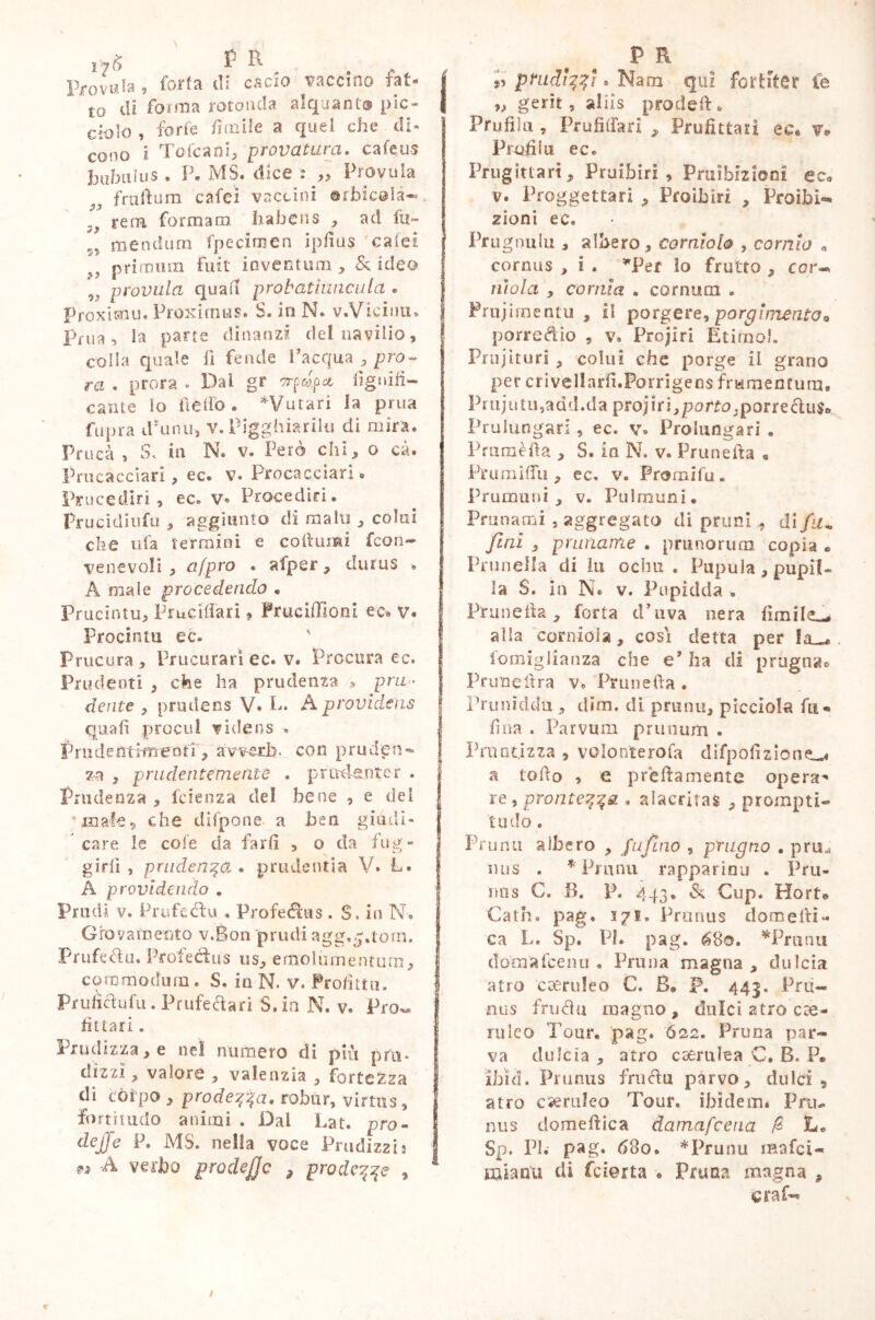 i-jfc P K piovala , fori a di cacio vaccino fat- to di forma rotonda alquanta pic- ciolo , forte firn ile a quel che di- cono i Tofcani, provatimi, cafeus bufiti lus, P. MS. dice t „ Provola „ frattura cafeì vaccini orbicela- 3i rem formaro habens , ad fu» 5? mendum fpecìmen ipfius calci primum fuit inventum , & ideo 9t provala quali probat macula « proxicnu. Proximus. S. in N. v .Vicina» J prua 5 la parte dinanzi delnavilìo, colla quale fi fende l'acqua , pro- ra . prora . Dal gr ó-pa.p<t lignifi- cante lo hello. *Vutari la prua fupra iPunu, v.Pigghiarilti di mira. Prucà , Se in N. v. Pero chi, o cà» Pro cacciar!, ec. v. Procacciari # Pfucediri, ec. v« Procedici. Prucidiufu , aggiunto di malli , colui che tifa termini e cottura! fcon- venevoli , afpro . afper, durus . A male procedendo . Prucintu, Fructiferi , Pruciflioni ec. V. Procintu ec. Prucura , Procurat i ec. v. Procura ec. Prudenti , che ha prudenza * pru- dente , prudens V* I*. A providens quali procul videns . Prudenttmeon , avverb. con pruden- za , prudentemente . prudenter . Prudenza , fetenza del bene , e dei J male„ che difpone- a ben giudi- care le cole da farli , o da fug- girli , prudenza» prudentia V. L. A providendo . Prudi v. Prufeétu . Profe&tis . S. in N. ! Giovamento v.ìonprudiagg.^.torn, P r u fe&u. Prof e tìus u s, e m o 1 u m e n t u m, commodum. S. in N. v. Profitta. PrtificiuTu. Prufectari S. in N. v. Pro« ! fittari. Pro dizza, e nel numero di piti pfn* di zzi, valore , vale ozia 3 fortezza | di Còrpo , prodezza, robur, virtus, I fortitudo animi . Dal Lat. prò- dejje P. MS. nella voce Prudizzh 1 9» A verbo prodejjc 3 prode^qe , * P R ,5 pruditfì. Nata qui fortiter fe gerit, aliis prodeft. Prufìlu , Pr ufi (Fa ri , Profittar! ec. v> Proliiu ec. Prugittart, Proibir! , Pruìbizioni ec. v. Proggettari , Proibir! , Proibi- zioni ec. Prugoulu , albero, corniolo , cornio a cornus , i . *Per lo frutto , cor- nìola , comìa . cornum . Prujimentu , il porgere, porgimento* por’re&io , v. Projiri Etimo!. Prujituri, colui che porge il grano per crivellarli.Porrigens framentura. Prujutu,add.da projiri, porto, porrectus» Pru lungari, ec. v. Prolunga ri . Prumèfta , S. in N. v. Prunella « PrumifTu , ec. v. Pro mi fu . Prumuni , v. Pulrouni. Prunami , aggregato di pruni , di fm fini , 'prurtarne . prunorum copia « Prunella di lu ochu . Pupula, pupil- la $. in N* v. Pupidda . Prunella, Torta d’uva nera limile,-, alla corniola, così detta per In iomiglianza che e’ ha di prugna*) Prune lira v. Prunella . Pruniddà , dim. di pruno, piccioli fu- fina . Parvum prunum . Prantizza , volonteroia difpofizione-* a lofio , e prettamente operai re, pronte. alacritas , prompti- nulo. Pruna albero , fu fino , prugno . pru^ nus . * Pmnu rapparinu . Pru- nus C. R. P. 443. & Cup. Horto Cath. pag. 171. Pronus dometti- ca L. Sp. PI. pag. 680. *Pranu doma fee mi. Pruna magna, dulcia atro c ceruleo C, B. P. 445. Pru- nus frutto magno, dolci atro cae- ruleo Tour. pag. 622. Pruoa par- va dulcia , atro caerulea C. B< P* ibìd. Prunus fruttu parvo, dulei , atro csemleo Tour, ibidem. Prm nus domeftica damafeena fa L. Sp. PI. pag. 680. *Prunu raafci- mianu di feierta . Truca magna , craf~<