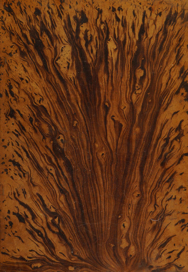 digitised image 1