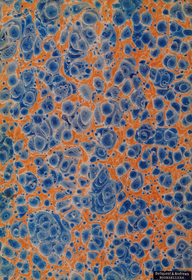digitised image 2