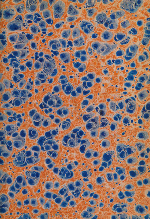 digitised image 3
