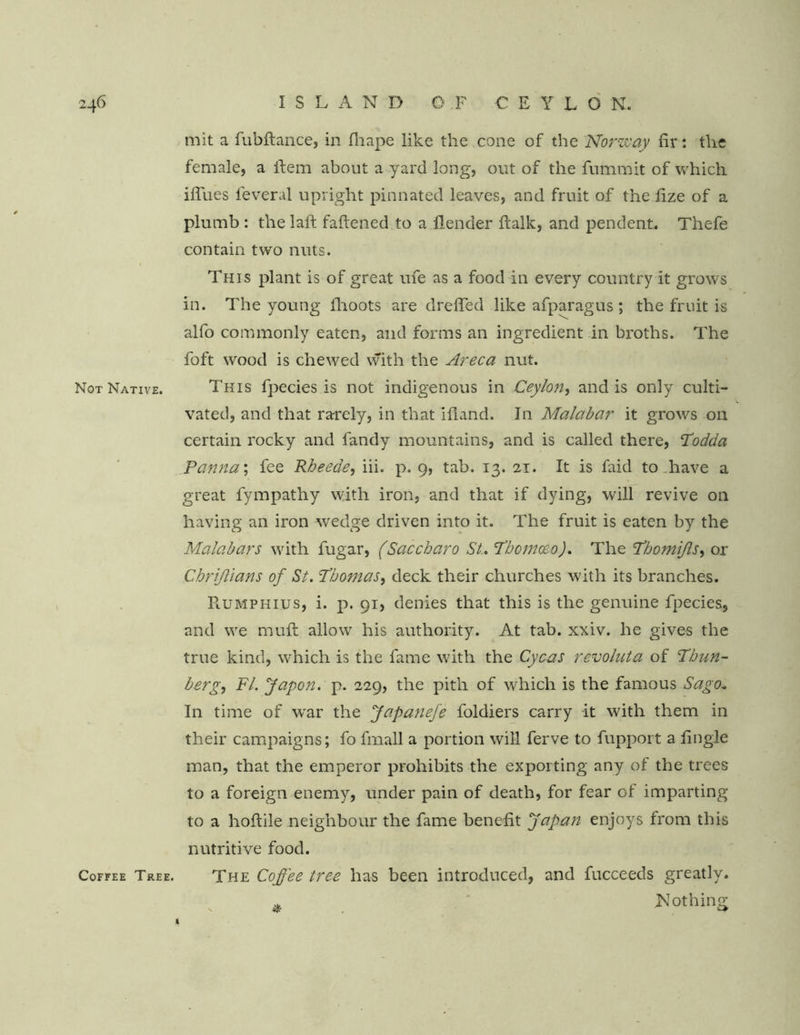 mit a fubftance, in fhape like the cone of the Norway fir : the female, a Item about a yard long, out of the fummit of which iflues feveral upright pinnated leaves, and fruit of the fize of a plumb : the laft faftened to a flender fialk, and pendent. Thefe contain two nuts. This plant is of great ufe as a food in every country it grows in. The young fhoots are drefied like afparagus ; the fruit is alfo commonly eaten, and forms an ingredient in broths. The foft wood is chewed with the Areca nut. Not Native. This fpecies is not indigenous in Ceylon, and is only culti- vated, and that ra-rely, in that ifiand. In Malabar it grows on certain rocky and fandy mountains, and is called there, Todda Panna\ fee Rheede, iii. p. 9, tab. 13. 21. It is faid to have a great fympathy with iron, and that if dying, will revive on having an iron wedge driven into it. The fruit is eaten by the Malabars with fugar, (Saccbaro St. Tbomceo). The !Tbomijls, or Chrijlians of St. Tbomas, deck their churches with its branches. PlUMphius, i. p. 91, denies that this is the genuine fpecies, and we muft allow his authority. At tab. xxiv. he gives the true kind, which is the fame with the Cycas revoluta of Tbun- berg, FI. Japon. p. 229, the pith of which is the famous Sago* In time of war the Japanefe foldiers carry it with them in their campaigns; fo fmall a portion will ferve to fupport a fingie man, that the emperor prohibits the exporting any of the trees to a foreign enemy, under pain of death, for fear of imparting to a hoftile neighbour the fame benefit Japan enjoys from this nutritive food. Coffee Tree. The Coffee tree has been introduced, and fucceeds greatly. * Nothing