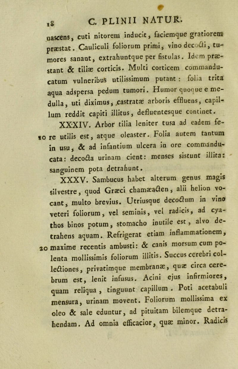 # tS c. PLINII NATUR. uascens, cuti nitorem inducit, faciemque gratiorem praestat. Cauliculi foliorum primi, vino decori, tu- mores sanant, extrahuntque per fistulas. Idem prae- stant & tiliae corticis. Multi corticem commandu- catum vulneribus utilissimum putant : folia trita aqua adspersa pedum tumori. Humor quoque e me- dulla, uti diximus, .castratae arboris effluens, capil- lum reddit capiti illitus, defluentesque continet. XXXIV. Arbor tilia leniter tusa ad eadem fe- 10 re utilis est, atque oleaster. Folia autem tantum in usu, & ad infantium ulcera in ore commandu- cata: decoda urinam cient: menses sistunt illita: sanguinem pota detrahunt. XXXV. Sambucus habet alterum genus magis silvestre, quod Graeci chamaeaden, alii helion vo- cant, multo brevius. Utriusque decodum in vino veteri foliorum, vel seminis, vel radicis, ad cya- thos binos potum, stomacho inutile est, alvo de- trahens aquam. Refrigerat etiam inflammationem, 40 maxime recentis ambusti: & canis morsum cum po- lenta mollissimis foliorum illitis. Succus cerebri col- lediones, privatimque membranae, quae circa cere- brum est, lenit infusus. Acini ejus infirmiores, quam reliqua , tinguunt capillum . Poti acetabuli mensura, urinam movent. Foliorum mollissima ex oleo Sc sale eduntur, ad pituitam bilemque detra- hendam. Ad omnia efficacior, quas minor. Radicis