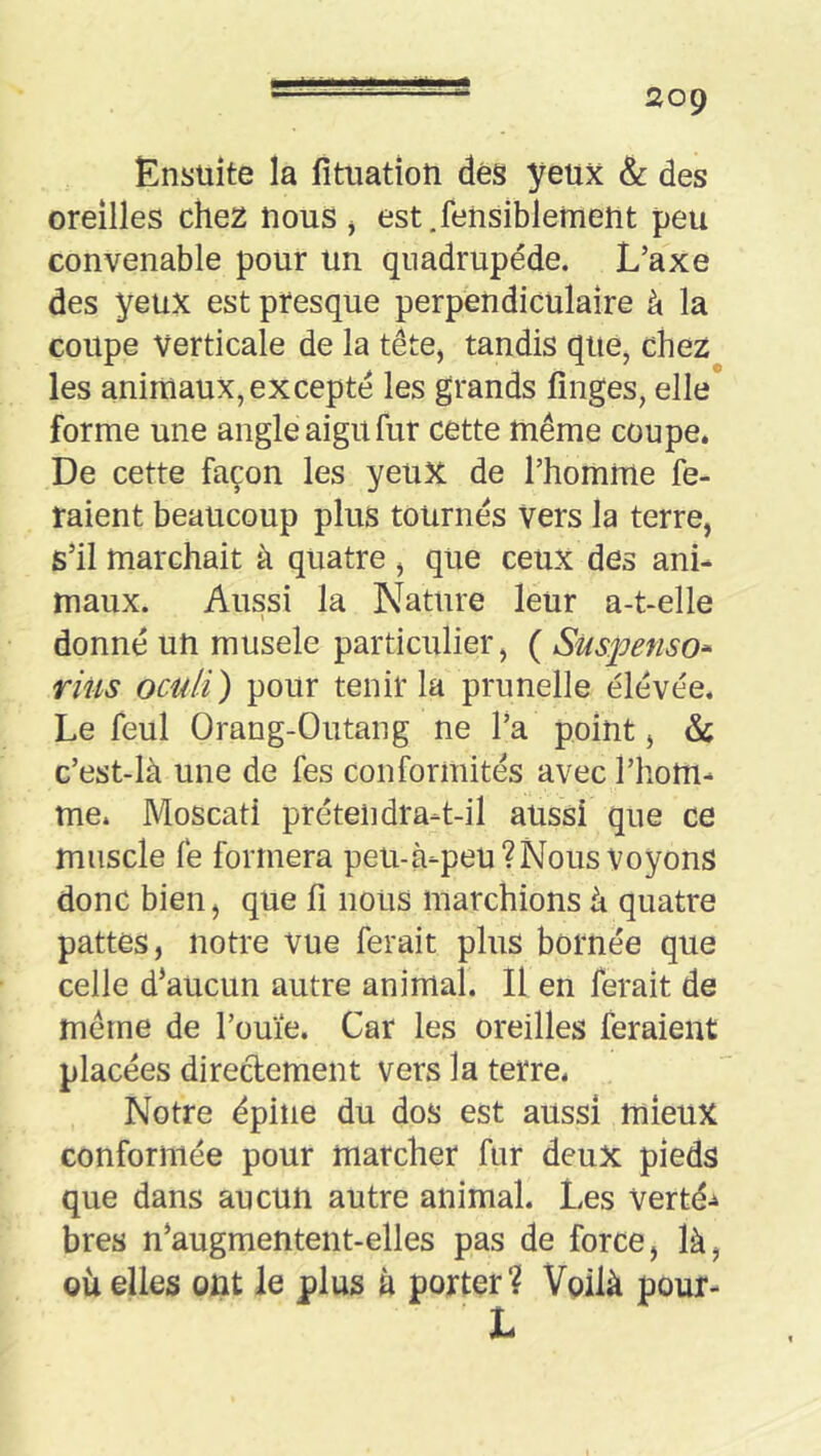 Ensuite la fîtuatîon des yeux & des oreilles chez nous j est.fensiblement peu convenable pour un quadrupède. L’axe des yeux est presque perpendiculaire à la coupe Verticale de la tête, tandis que, chez les animaux, excepte les grands fînges, elle* forme une angle aigu fur cette même coupe. De cette façon les yeux de l’homme fe- raient beaucoup plus tournes Vers la terre, s’il marchait à quatre , que ceux des ani- maux. Aussi la Nature leur a-t-elle donné un musele particulier, ( Suspenso^^ rius oculi) pour tenir la prunelle élevée. Le feul Orang-Outang ne l’a point, & c’est-là une de fes conformités avec l’hom- me. Moscati prétendra-t-il aussi que ce muscle fe formera peii-à-peü? Nous Voyons donc bien, que fi nous marchions à quatre pattes, notre vue ferait plus bornée que celle d’aucun autre animal. Il en ferait de même de l’ouïe. Car les oreilles feraient placées directement vers la terre. Notre épine du dos est aussi mieux conformée pour marcher fur deux pieds que dans aucun autre animal. Les verté-^ bres n’augmentent-elles pas de force, là, où elles ont le plus à porter? Voilà pour-