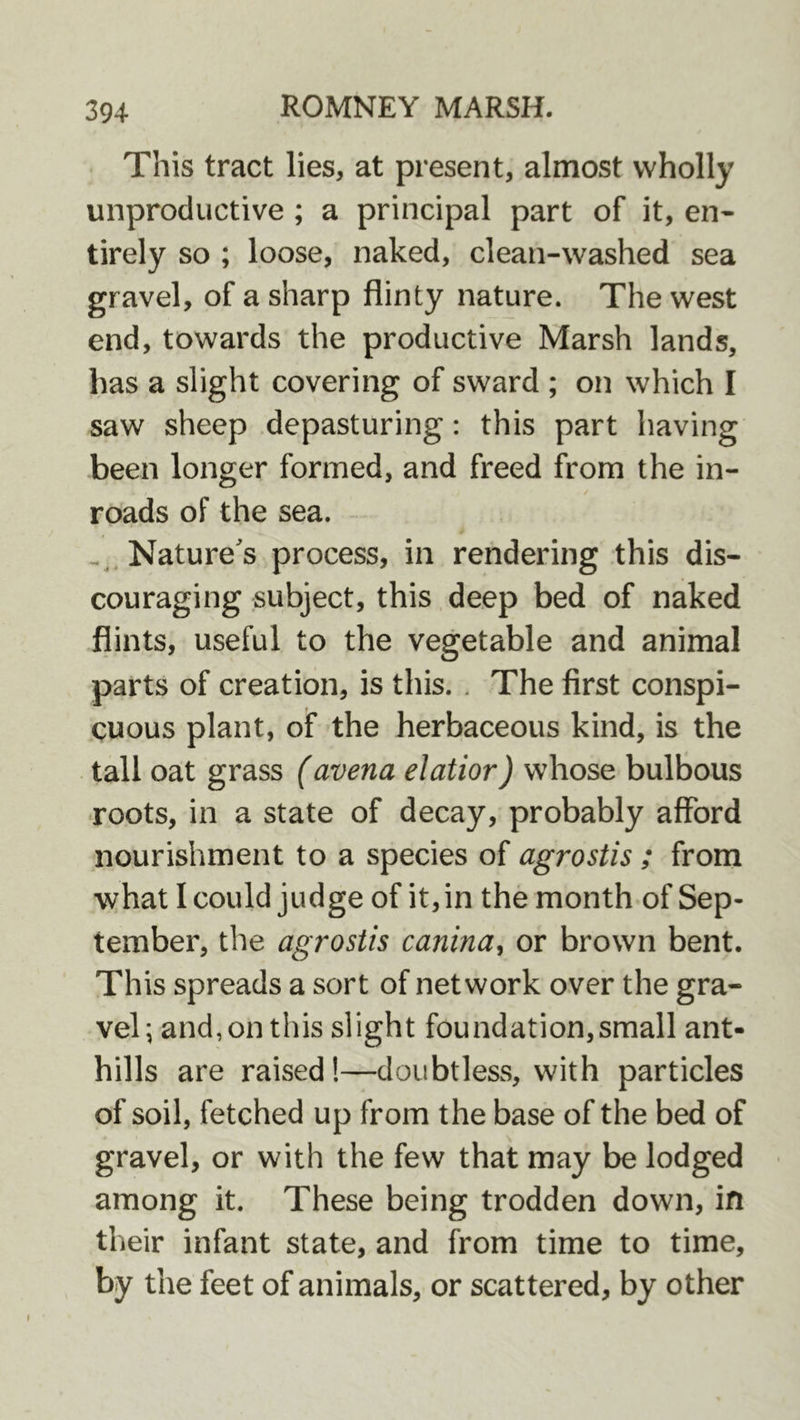 This tract lies, at present, almost wholly unproductive ; a principal part of it, en- tirely so ; loose, naked, clean-washed sea gravel, of a sharp flinty nature. The west end, towards the productive Marsh lands, has a slight covering of sward ; on which I saw sheep depasturing: this part having been longer formed, and freed from the in- roads of the sea. Nature's process, in rendering this dis- couraging subject, this deep bed of naked flints, useful to the vegetable and animal parts of creation, is this. . The first conspi- cuous plant, of the herbaceous kind, is the tall oat grass (avena elatior) whose bulbous roots, in a state of decay, probably afford nourishment to a species of agrostis ; from what I could judge of it, in the month of Sep- tember, the agrostis canina^ or brown bent. This spreads a sort of network over the gra- vel; and, on this slight foundation,small ant- hills are raised!—doiibtleSwS, with particles of soil, fetched up from the base of the bed of gravel, or with the few that may be lodged among it. These being trodden down, in their infant state, and from time to time, by the feet of animals, or scattered, by other