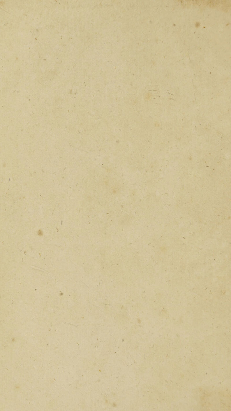 1 V • \ \ ' .i f. ■» .Vi<? ' ' %* / if \ I % %