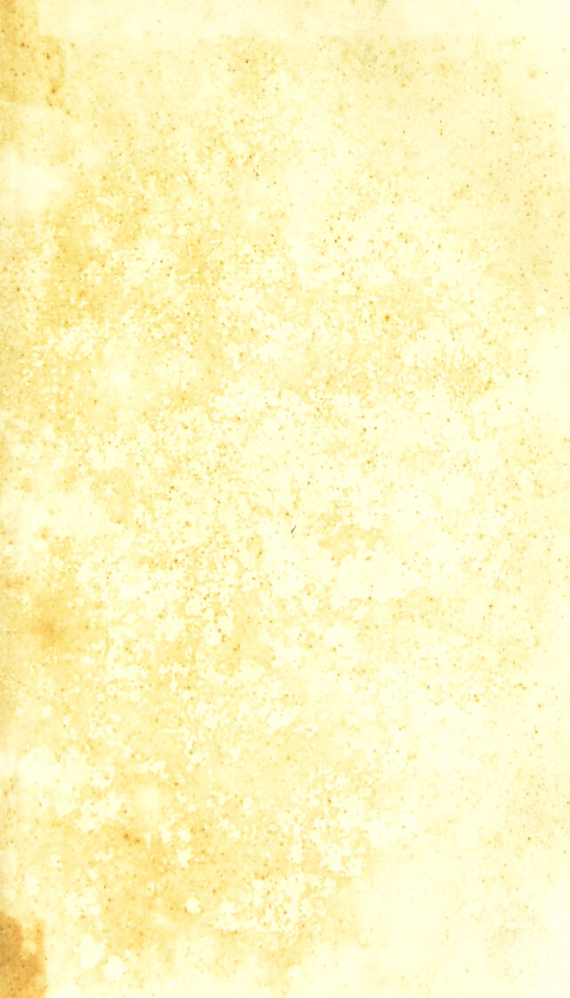 digitised image 3