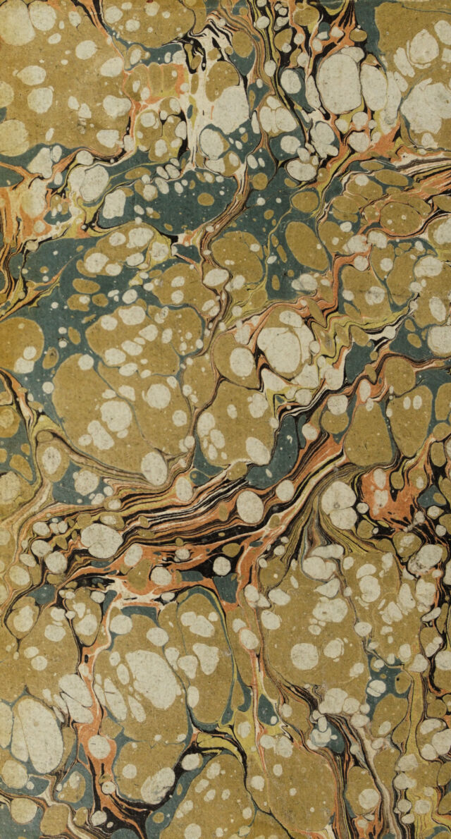 digitised image 2