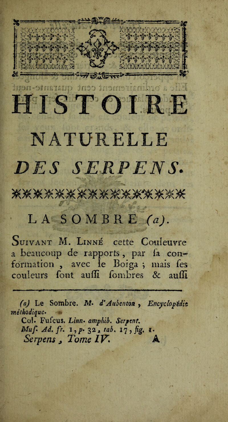 NATURELLE DES SERPENS. LA SOMBRE fa;. Suivant M. Linné cettè Couleuvre a beaucoup de rapports , par fa eoii- formation , avec le Boiga *, mais fes couleurs font auflî fombres & auffi (aj Le Sombre. M- d*Aubenton y Encydopidit méthodique» *» Cül. Fufcus. Limu amphlb. Serpent. Muf Ad. fr. i ,p. 32 J, tai. iq , fig. i- Serpens , Tome IV^ A
